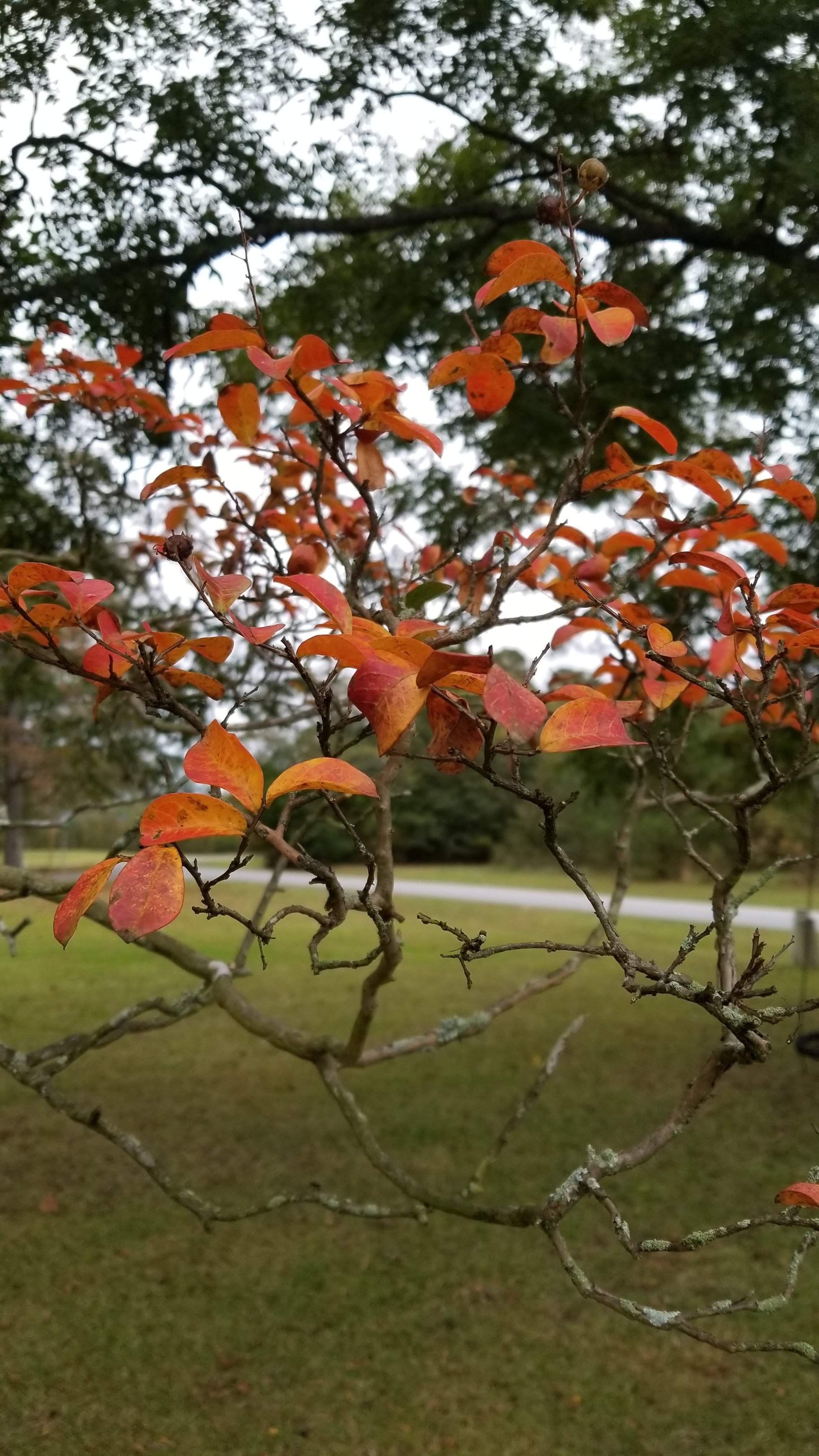 20191029_171955.jpg