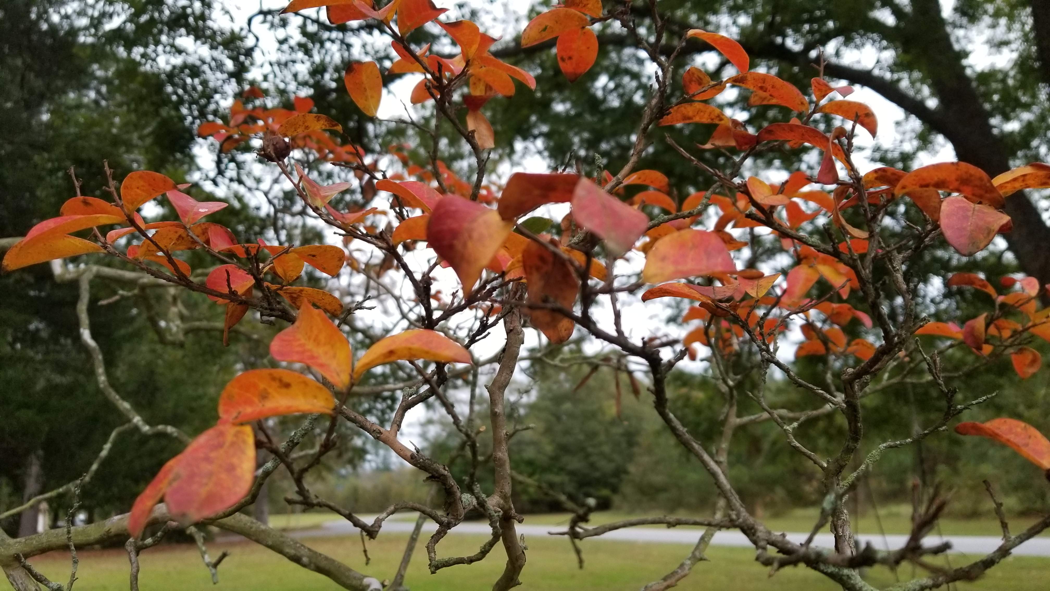 20191029_172010.jpg