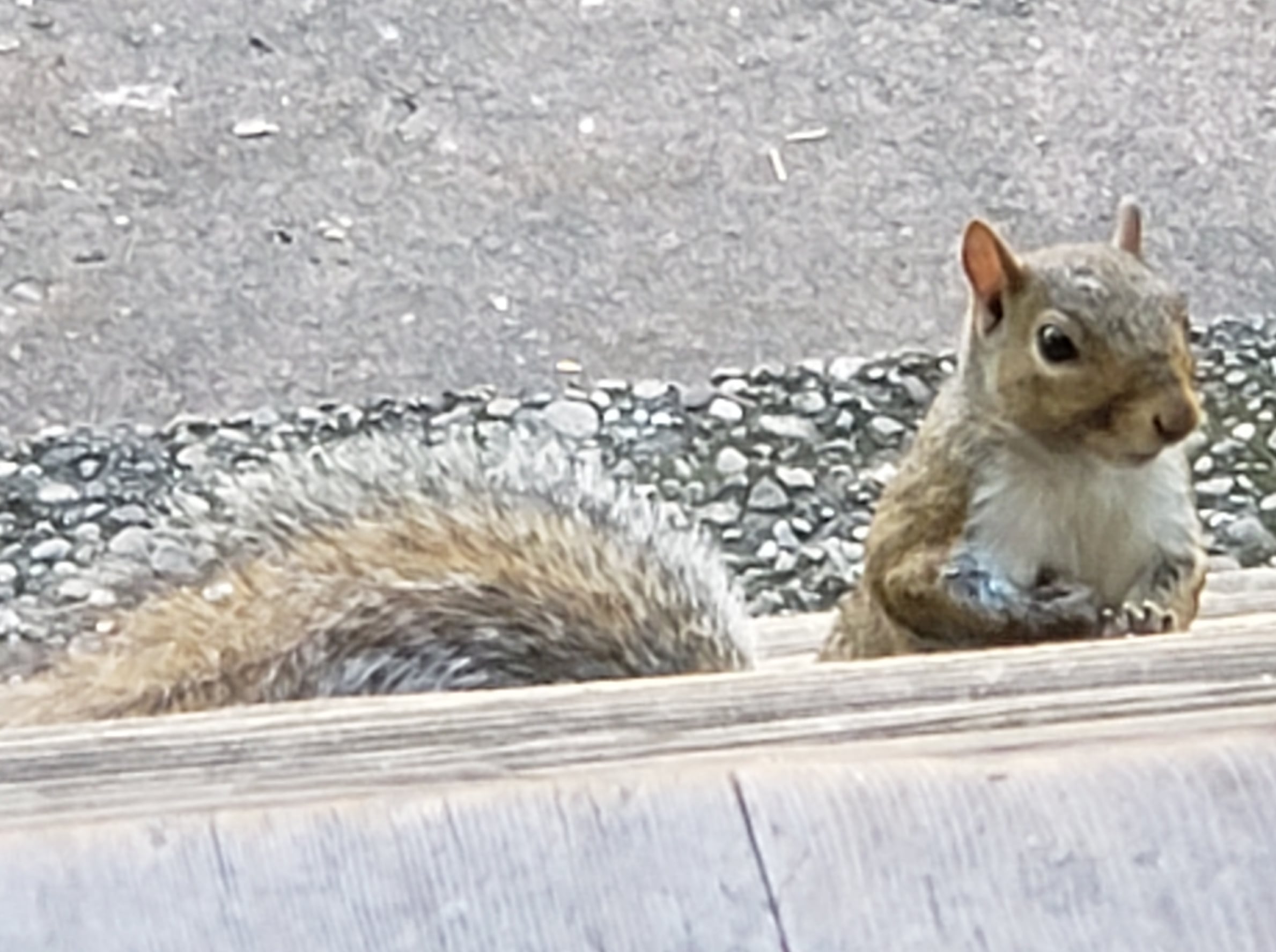20191031_022542.jpg