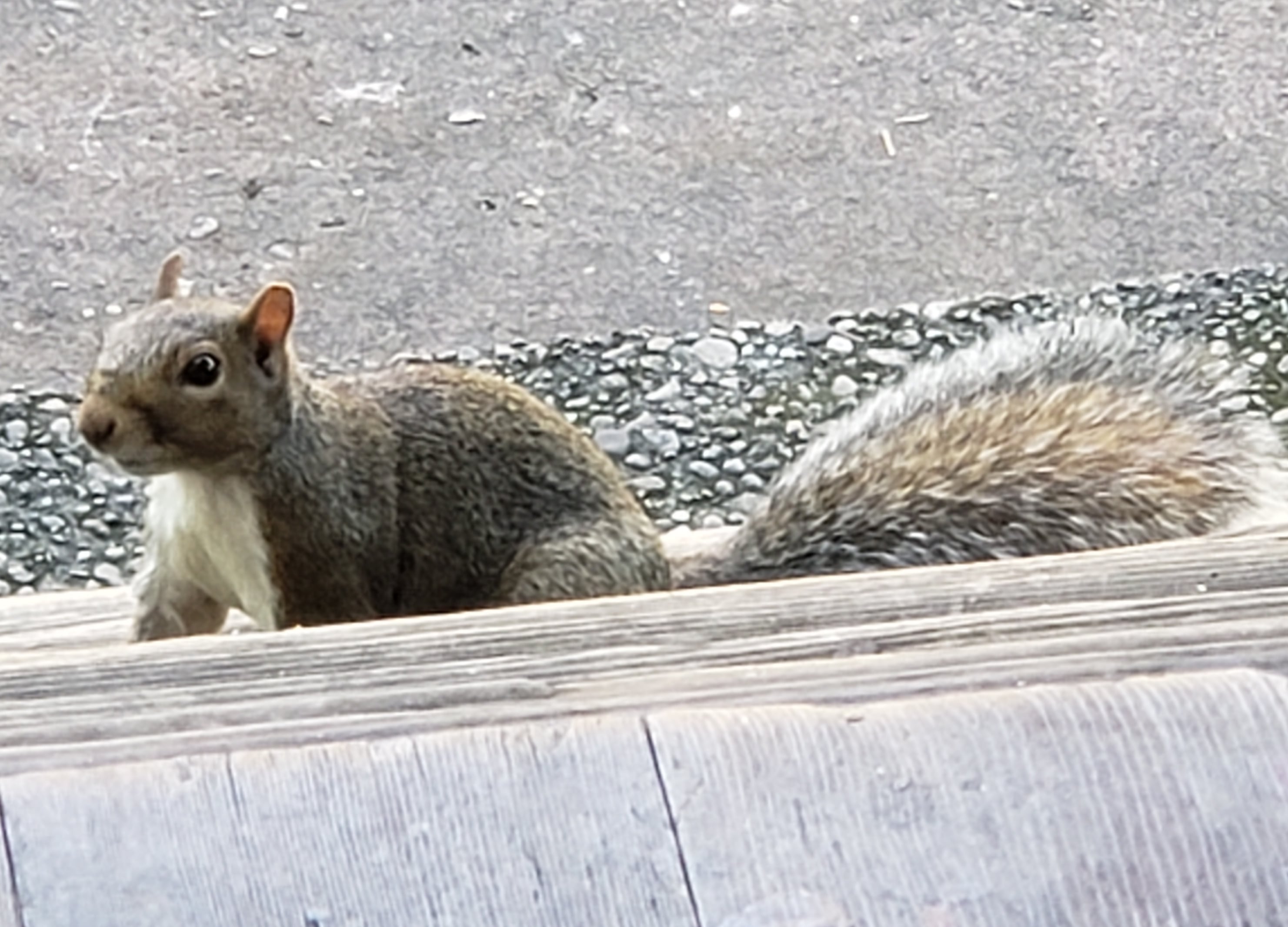 20191031_022711.jpg