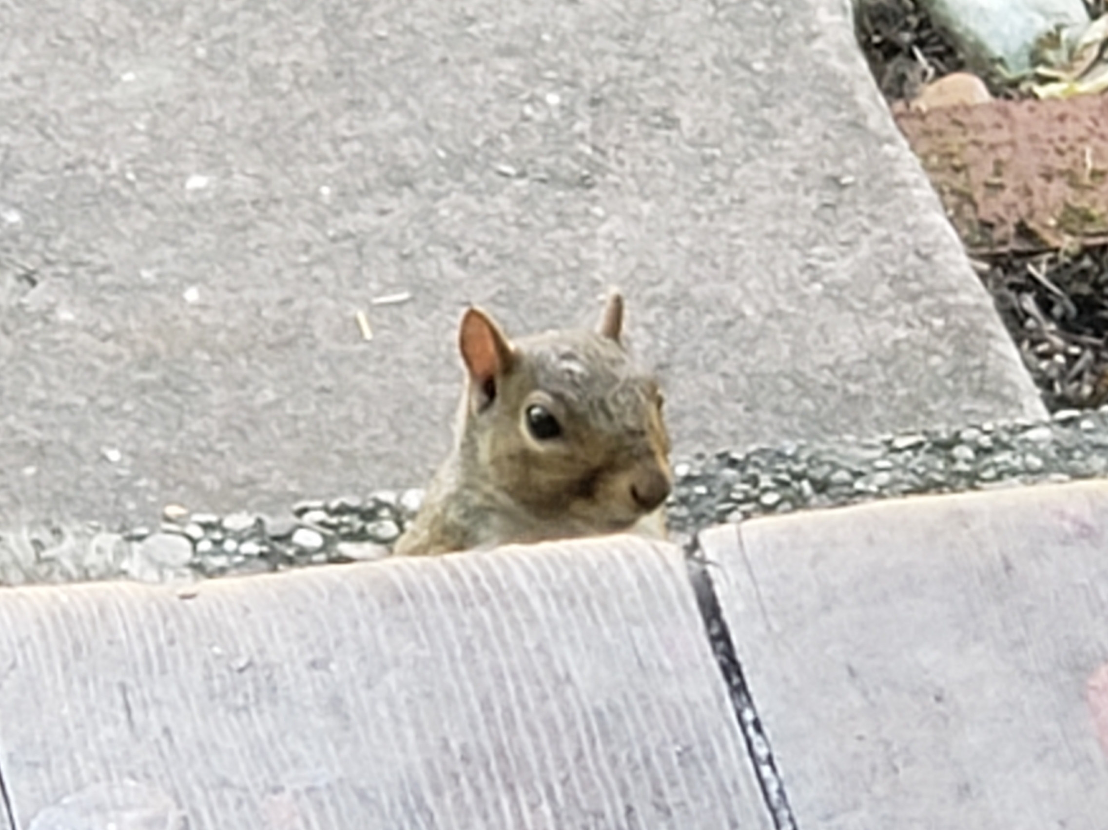 20191031_023154.jpg