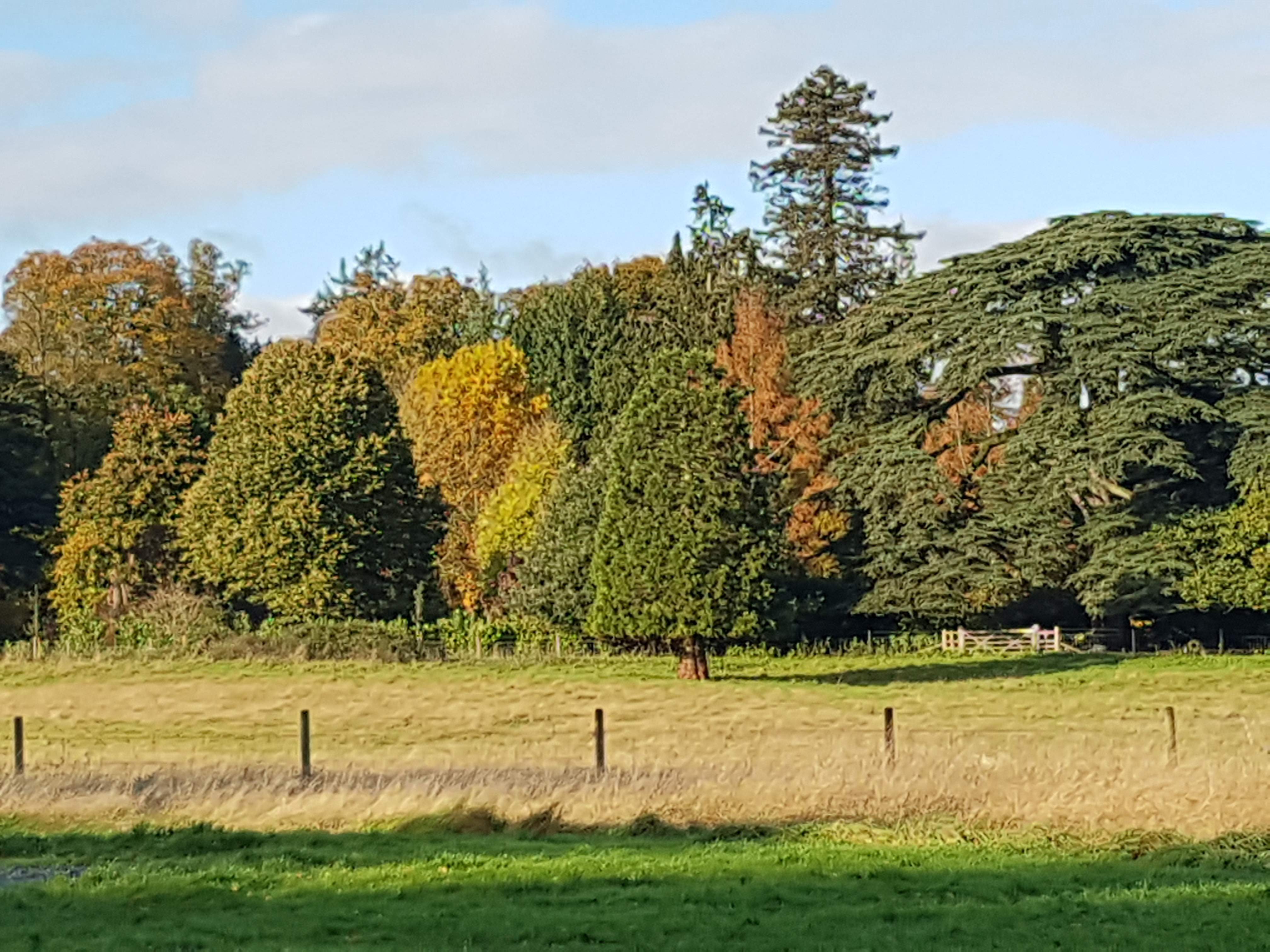 20191103_094509.jpg