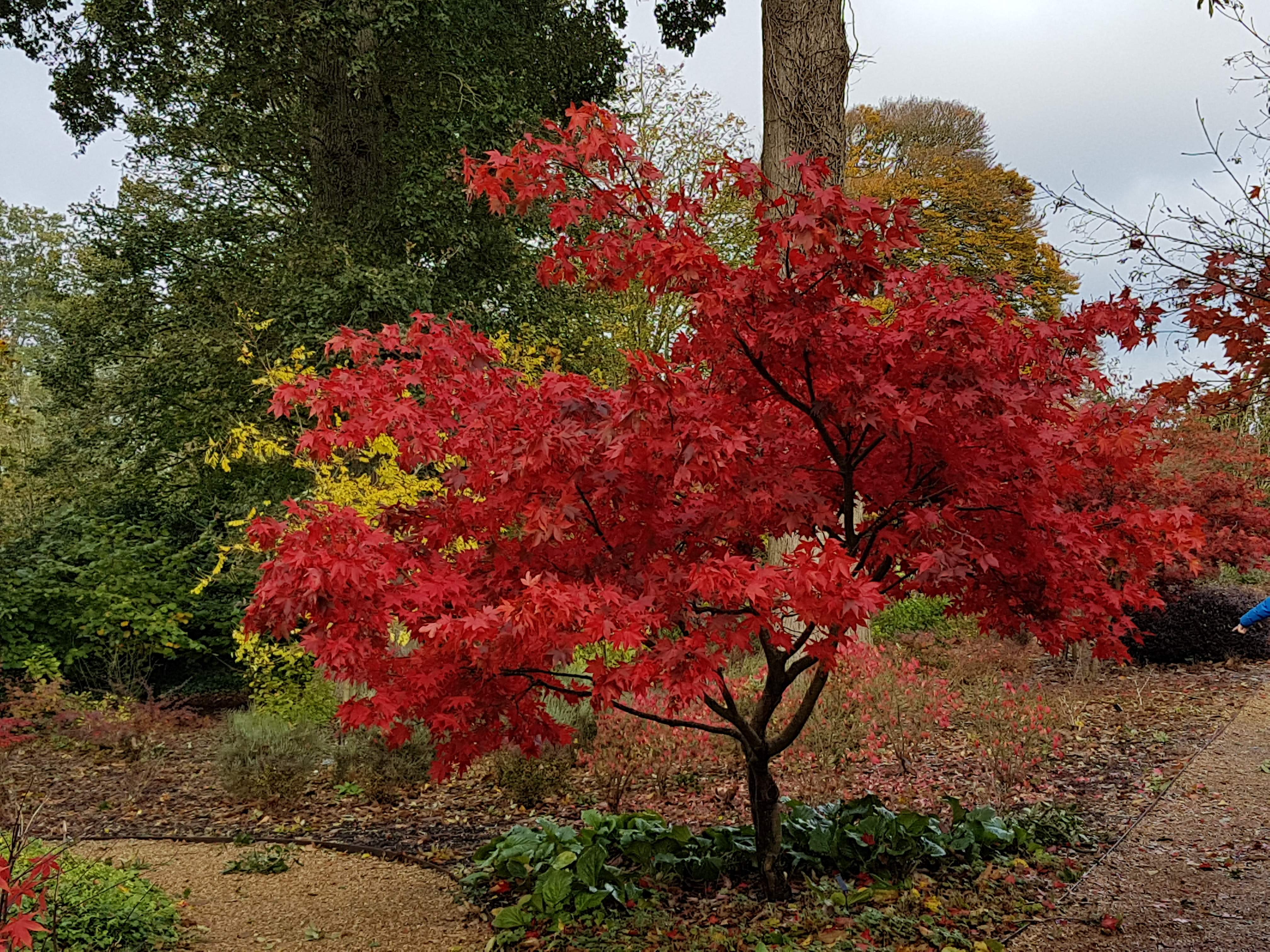 20191103_111314.jpg