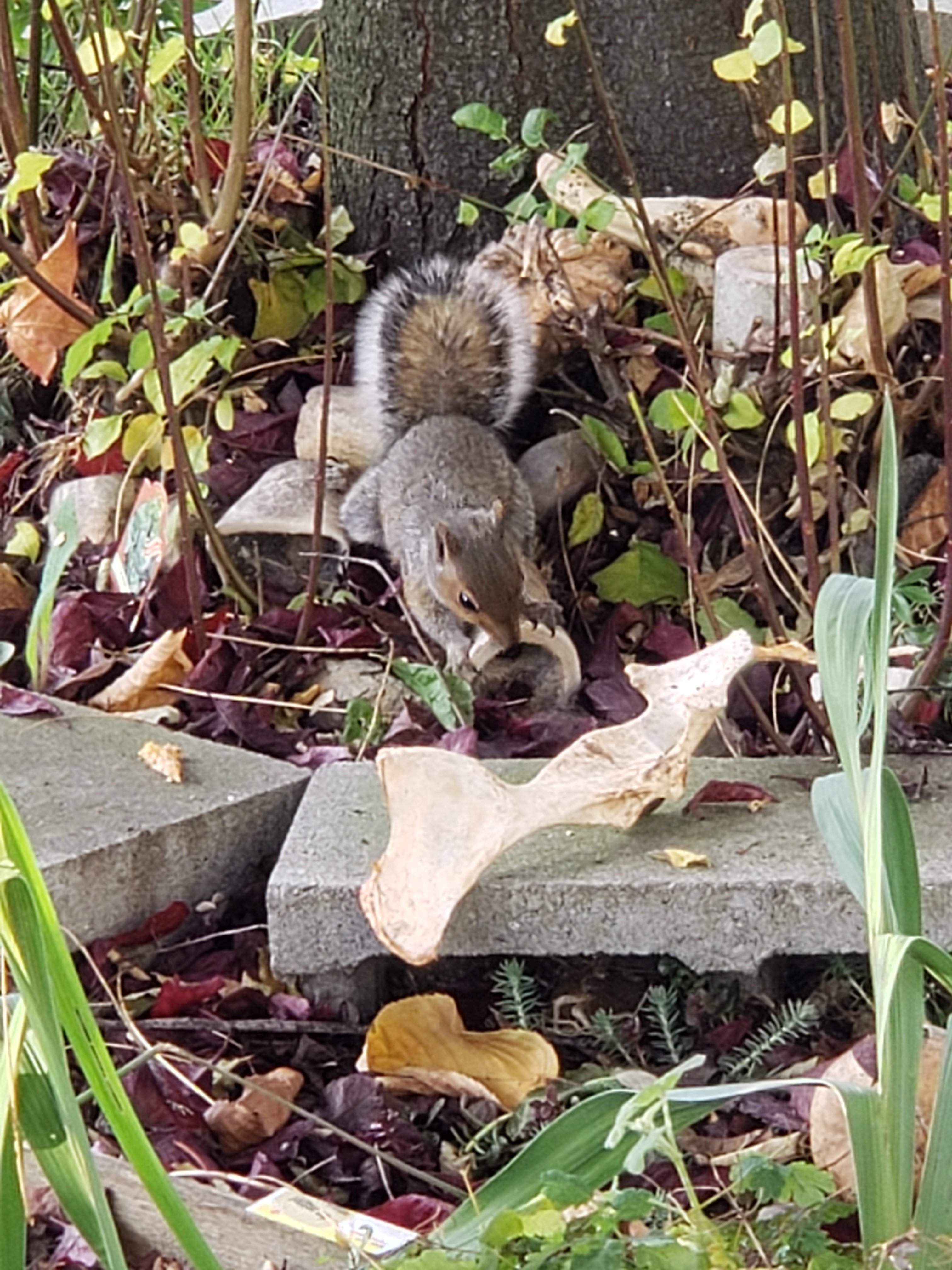20191103_145603.jpg