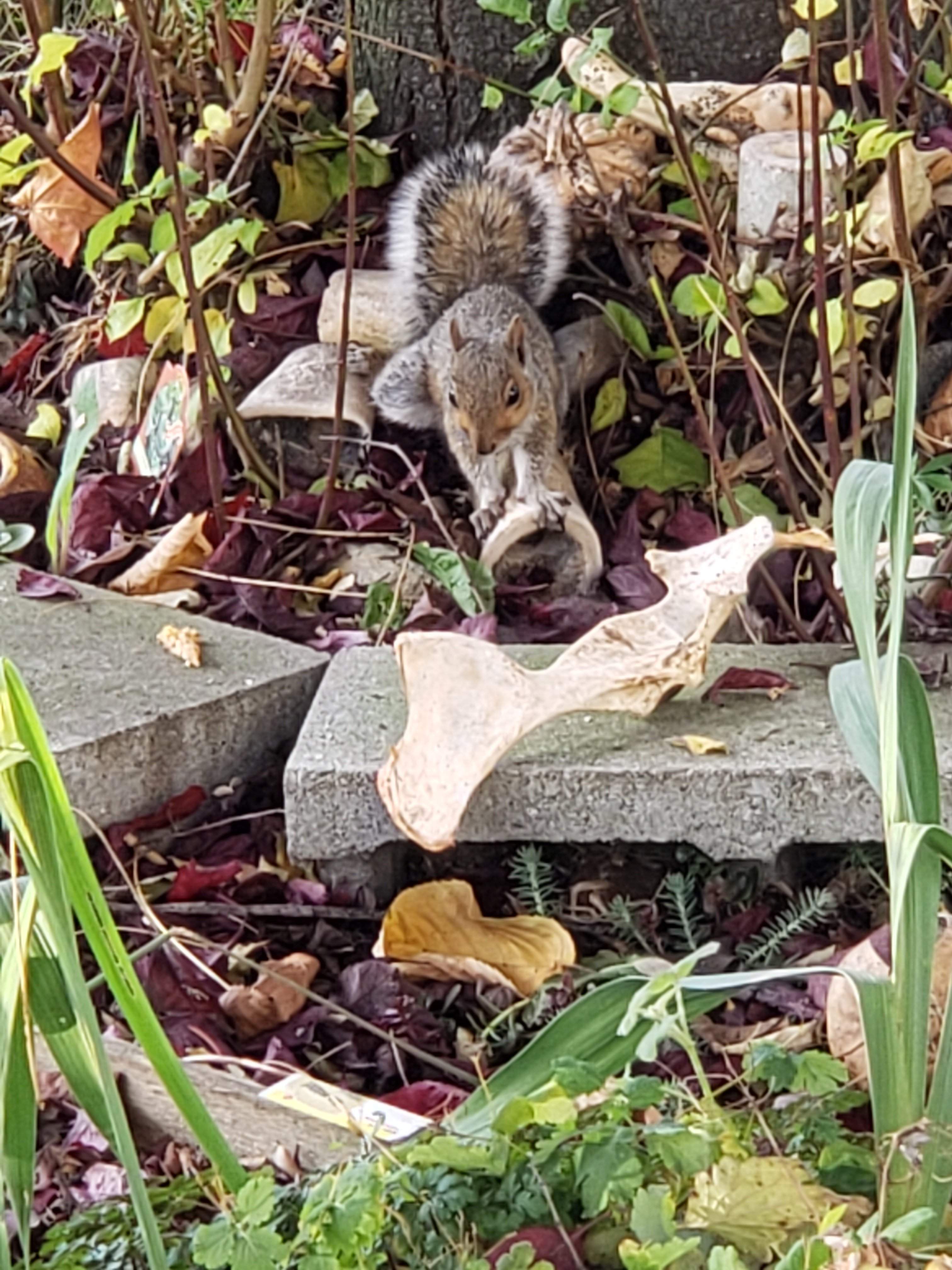 20191103_145609.jpg