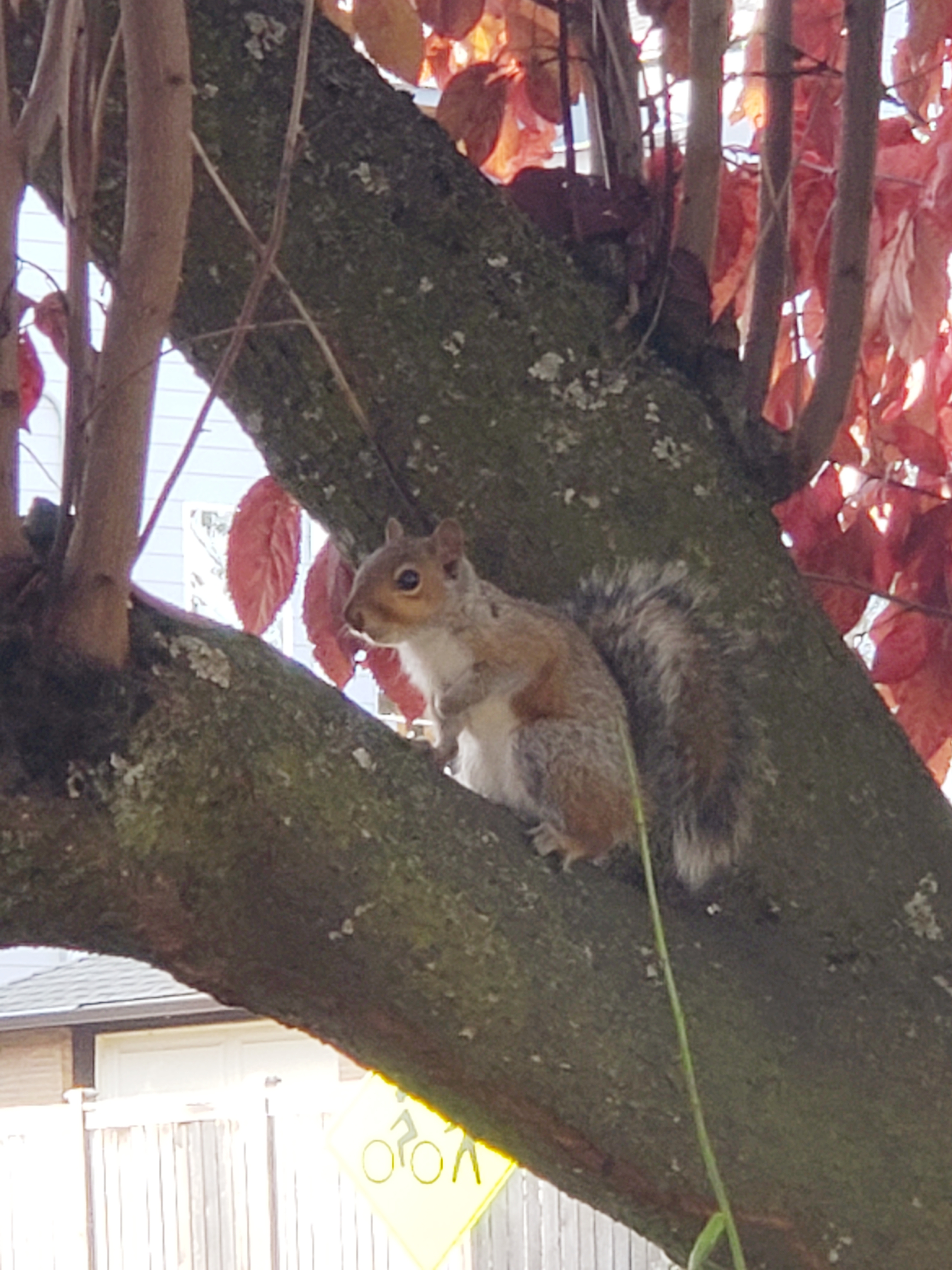 20191103_150001.jpg