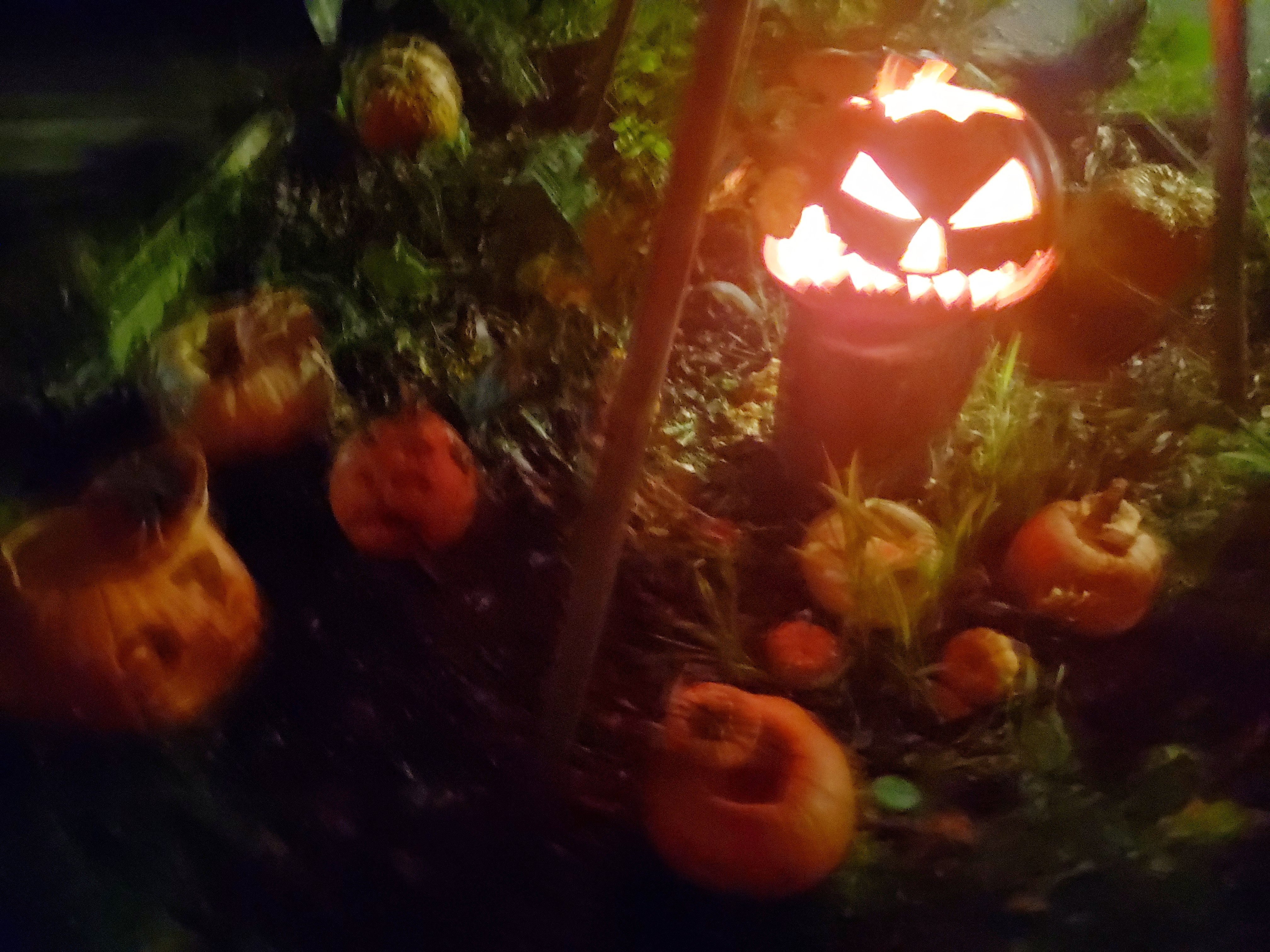 20191104_113757.jpg