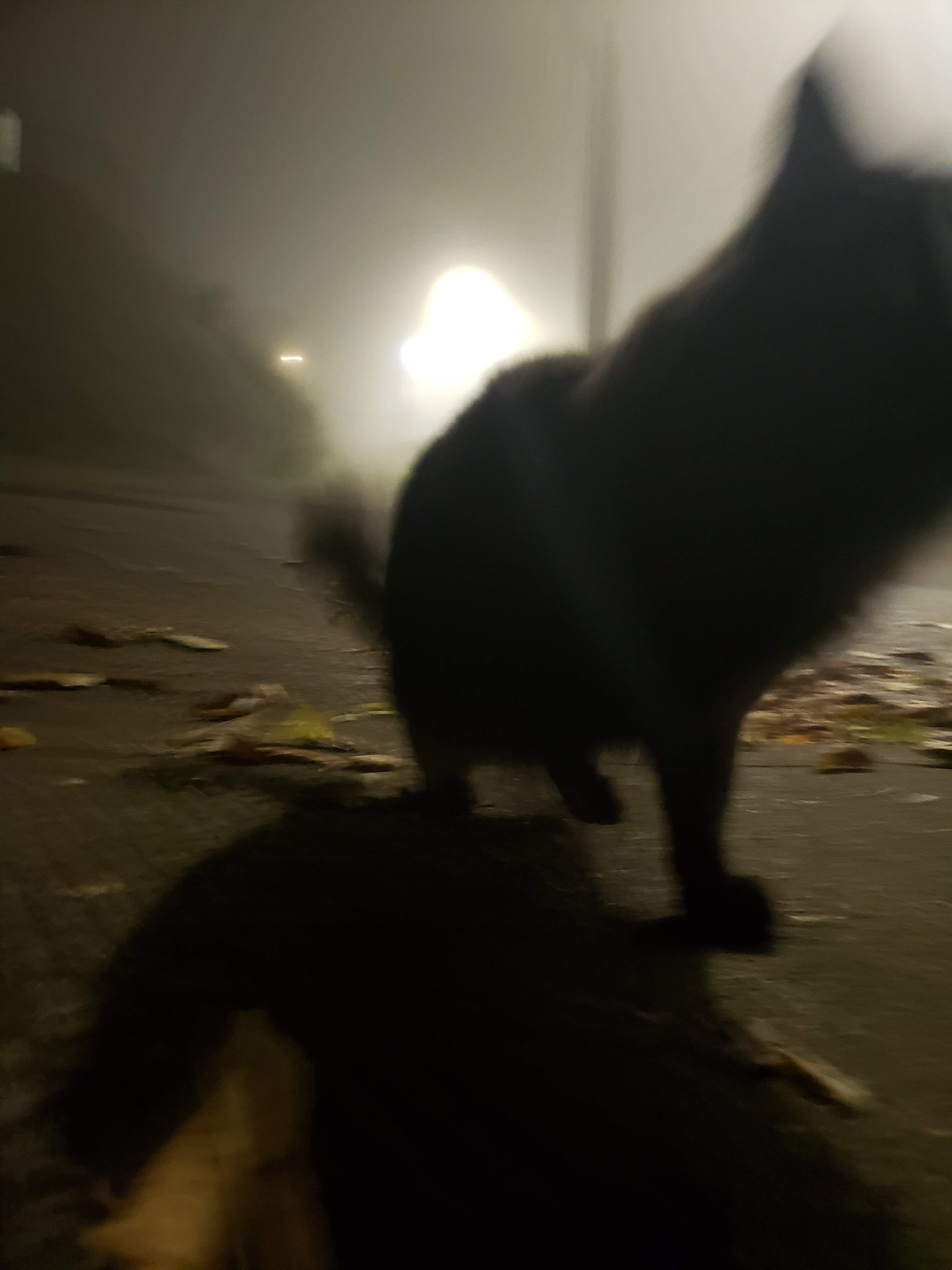 20191105_024512.jpg