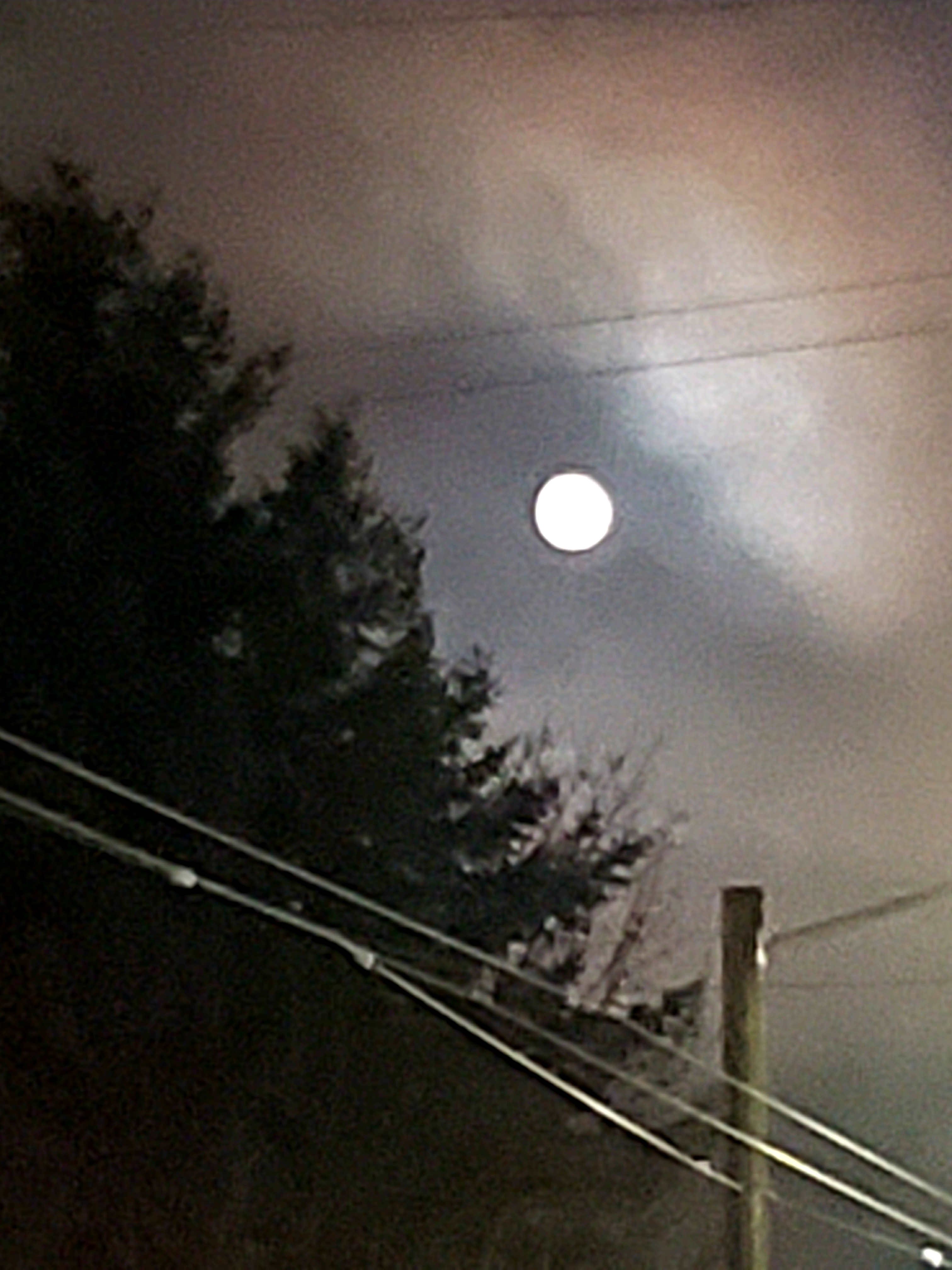 20191113_191856.jpg
