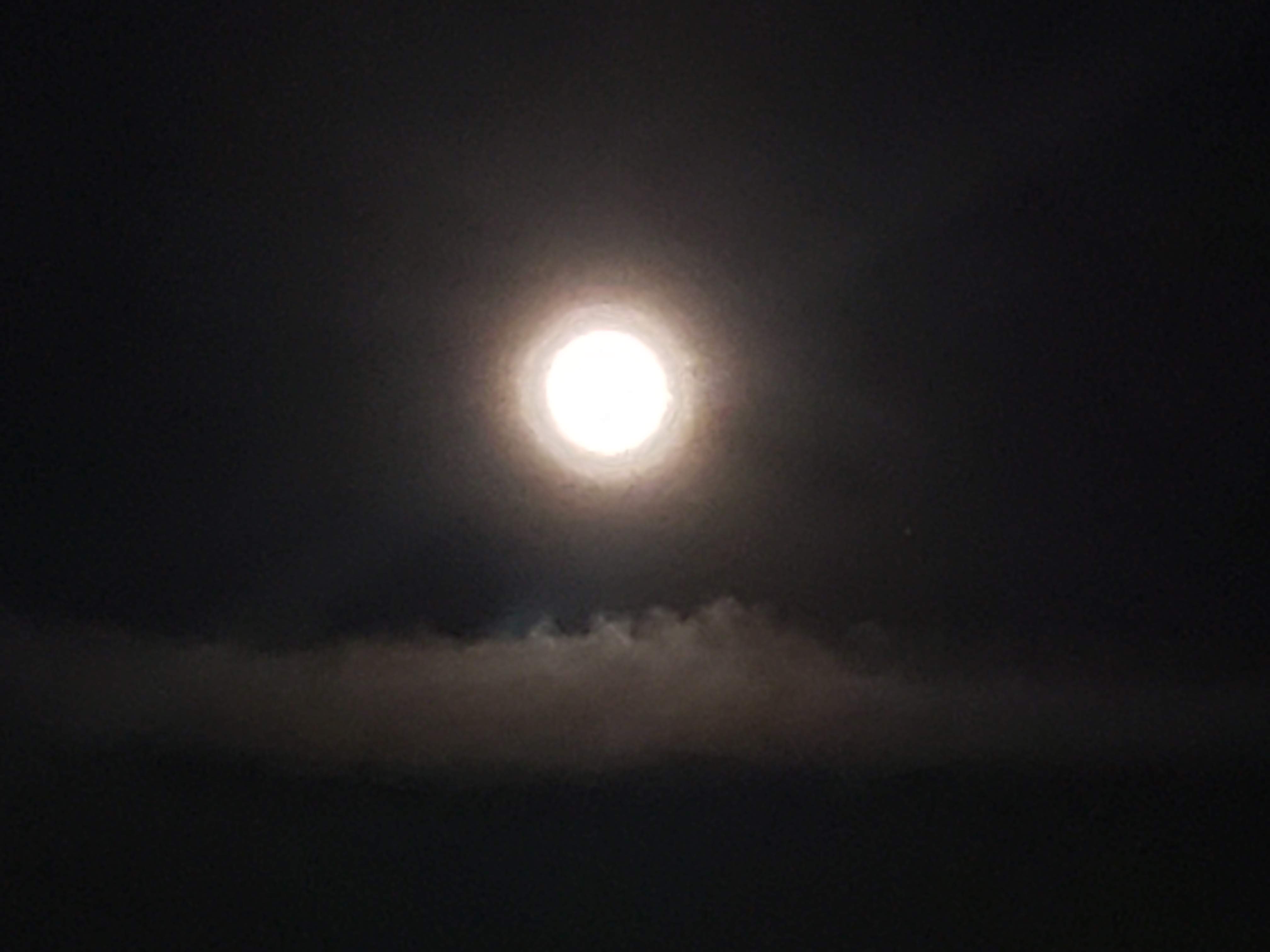 20191113_205535.jpg