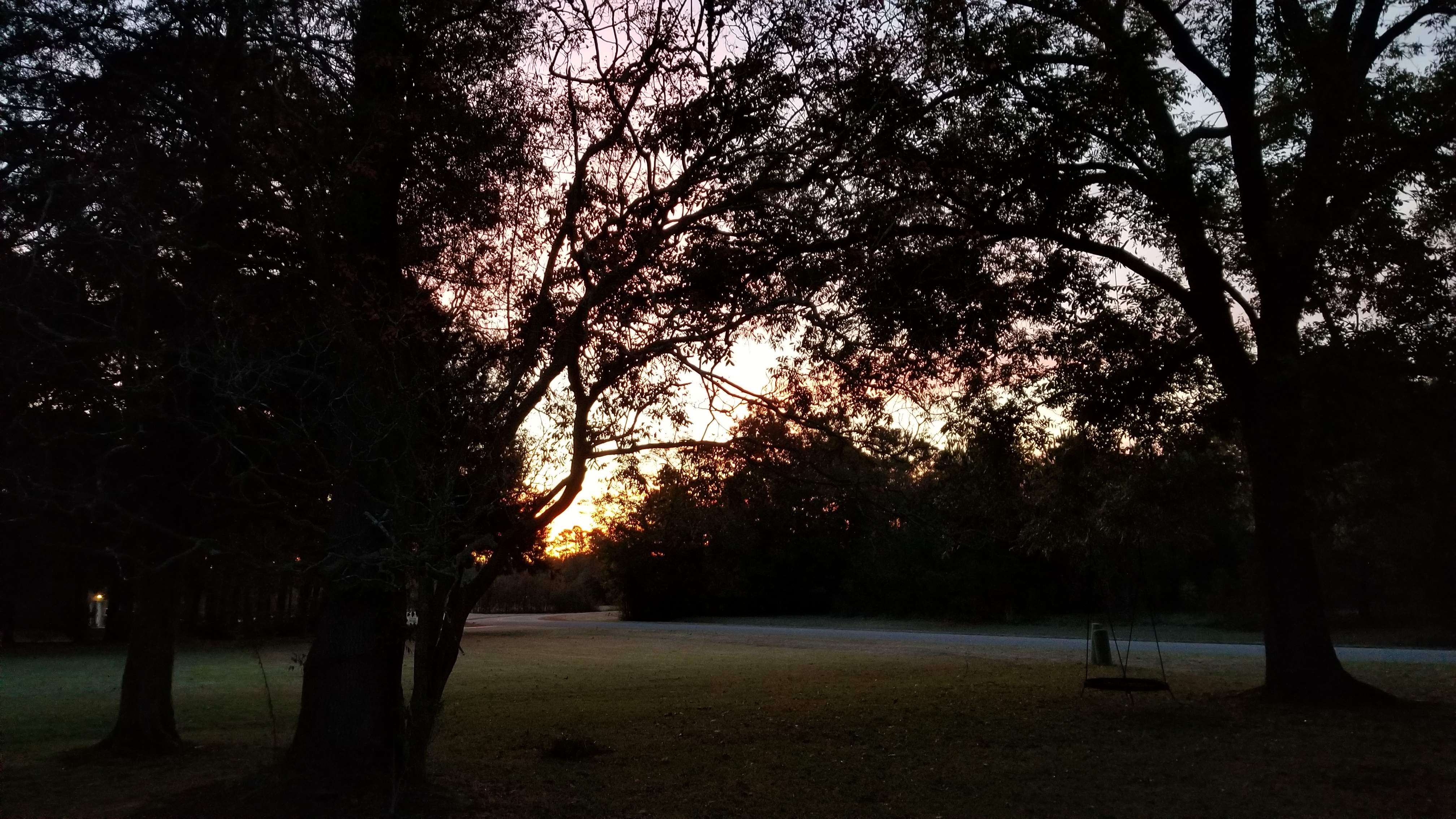 20191114_062810.jpg