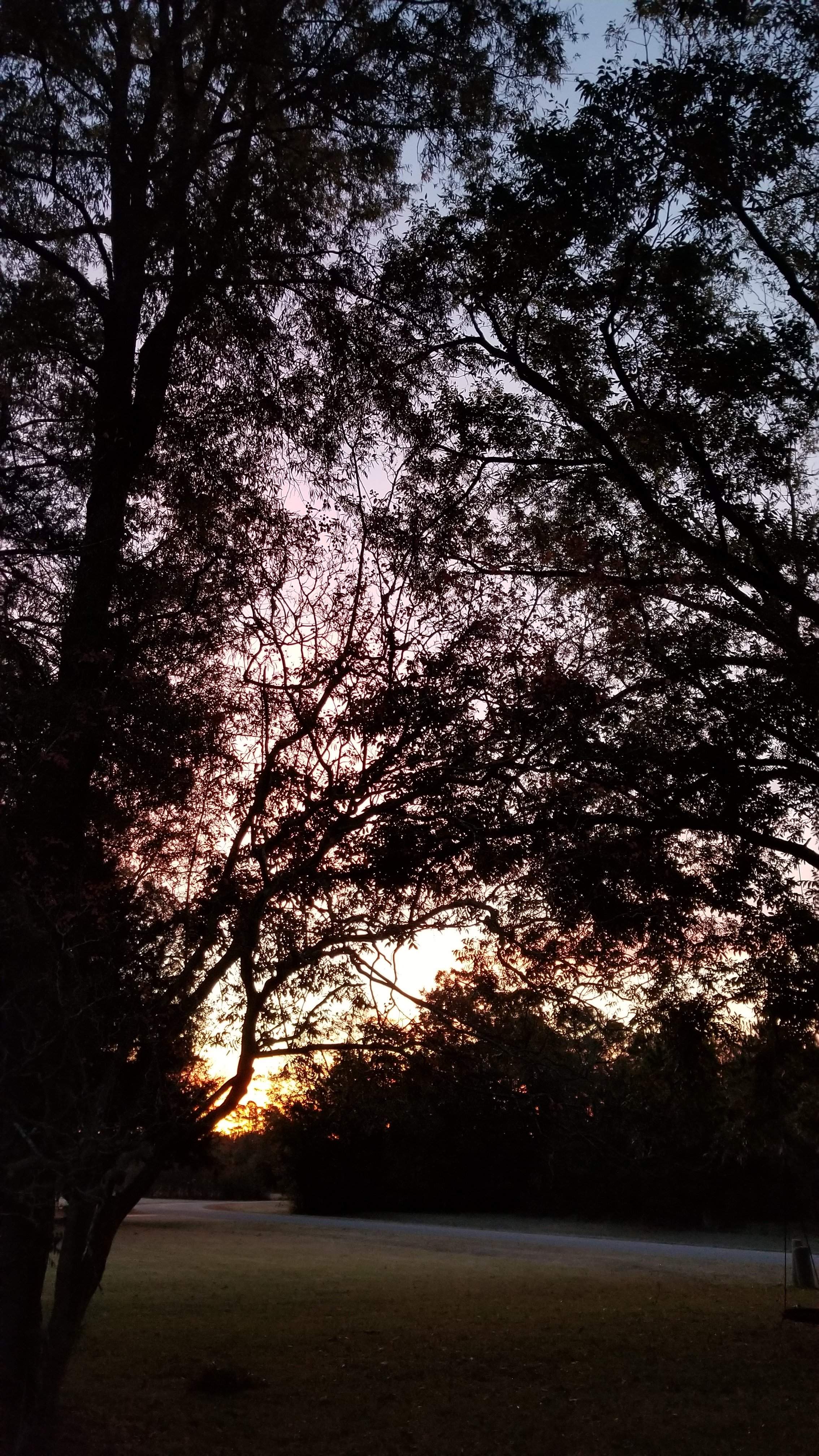20191114_062823.jpg