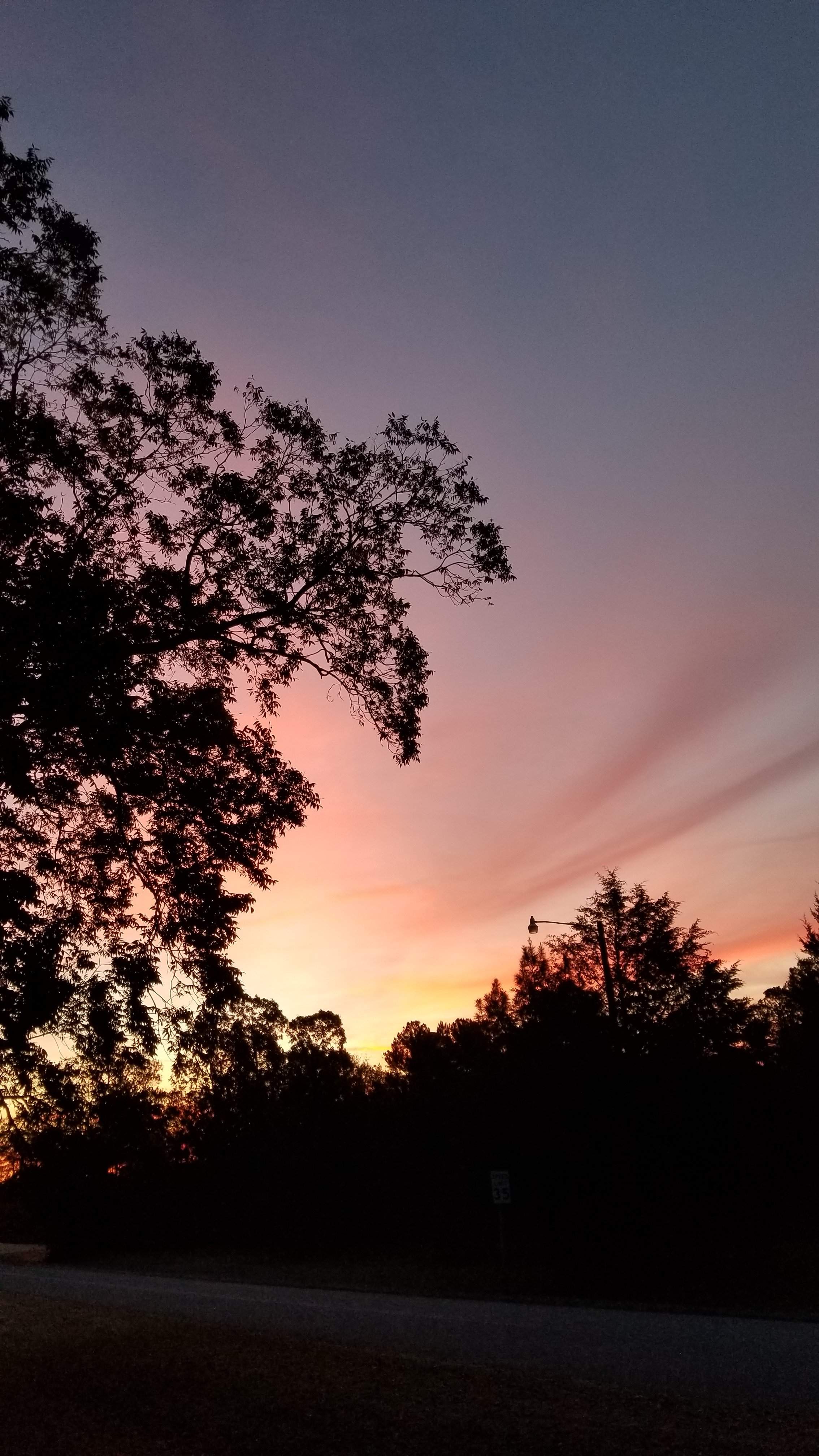 20191114_062932.jpg