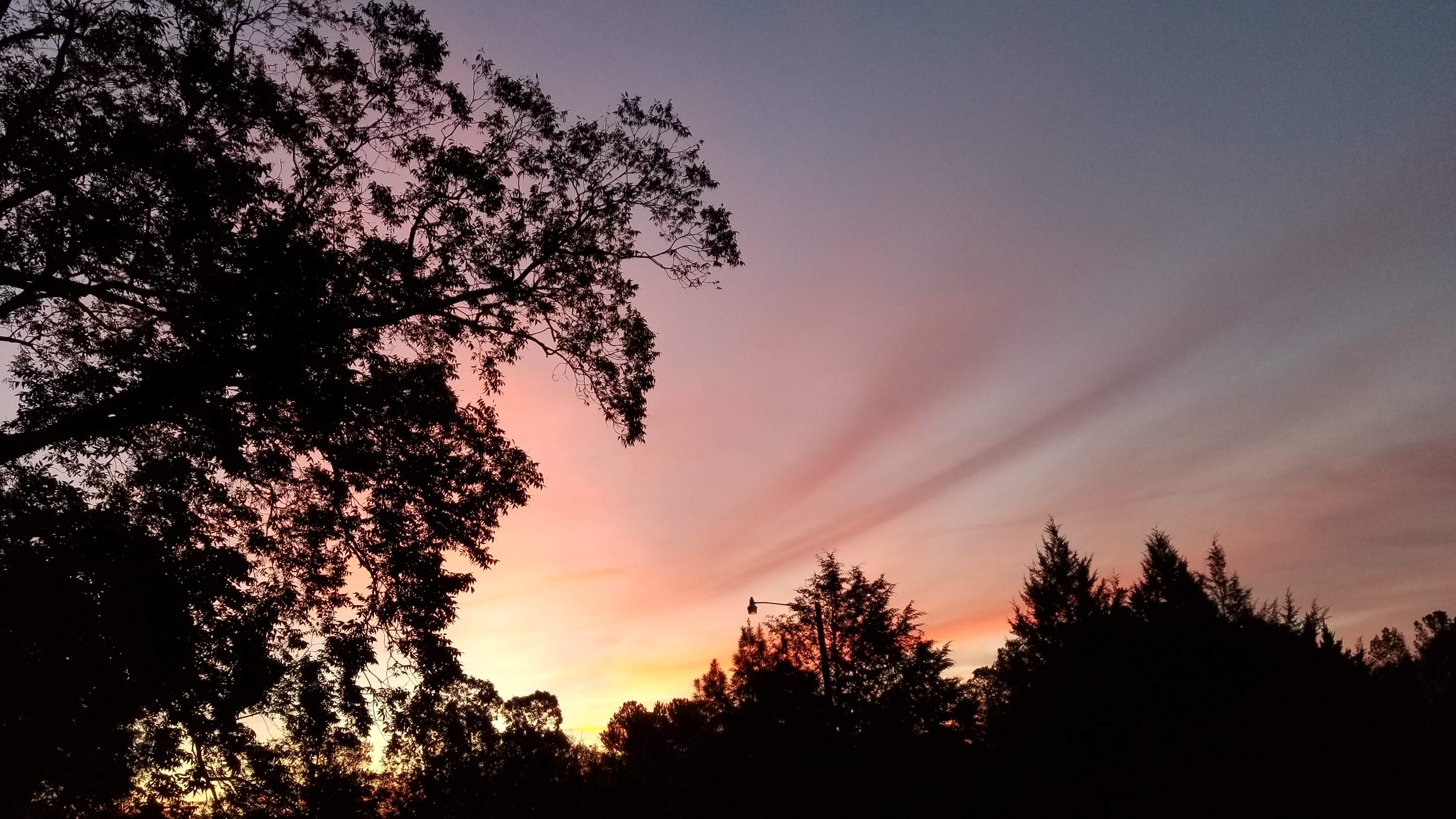 20191114_062941.jpg