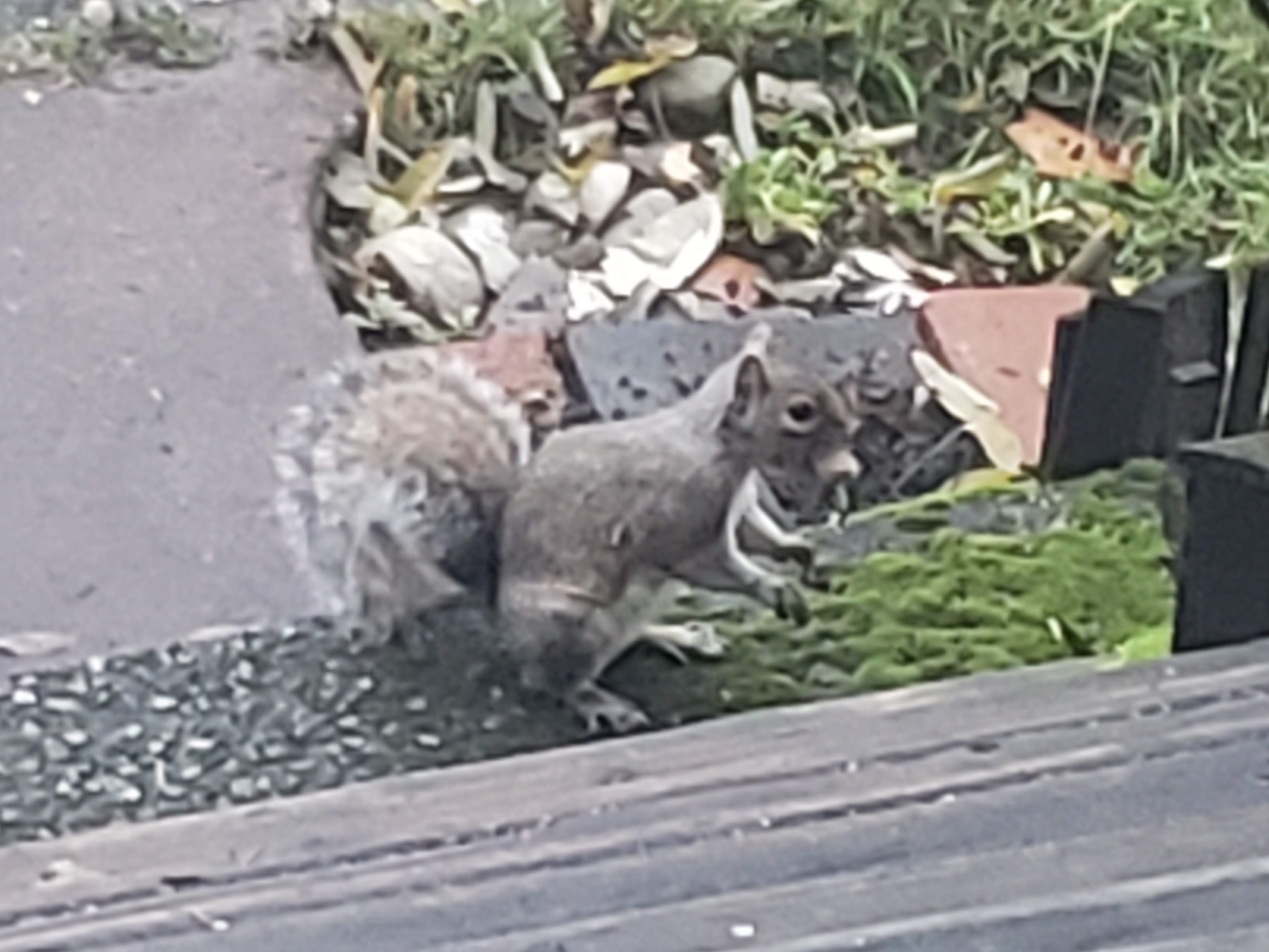 20191118_073008.jpg