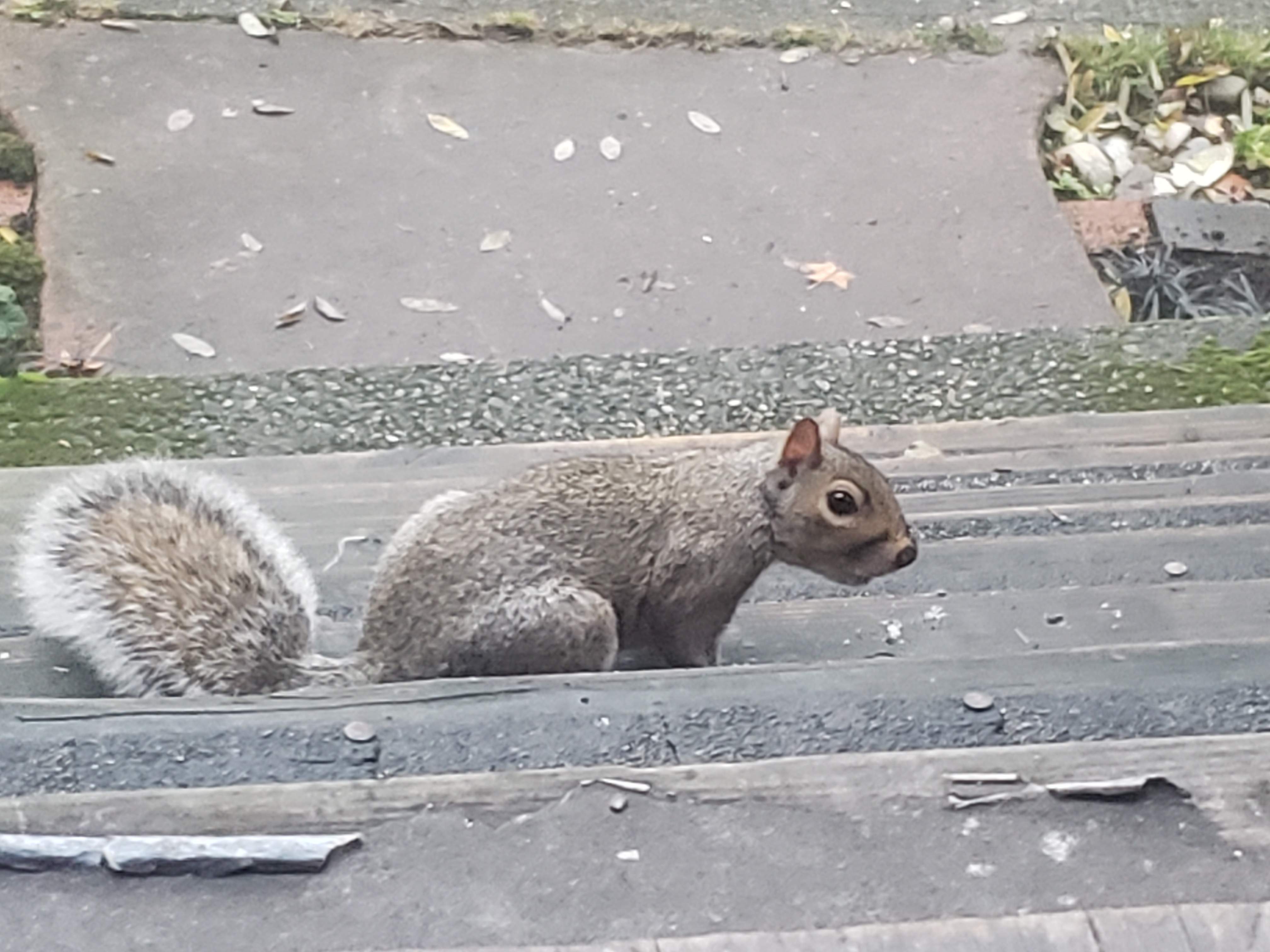 20191118_073313.jpg
