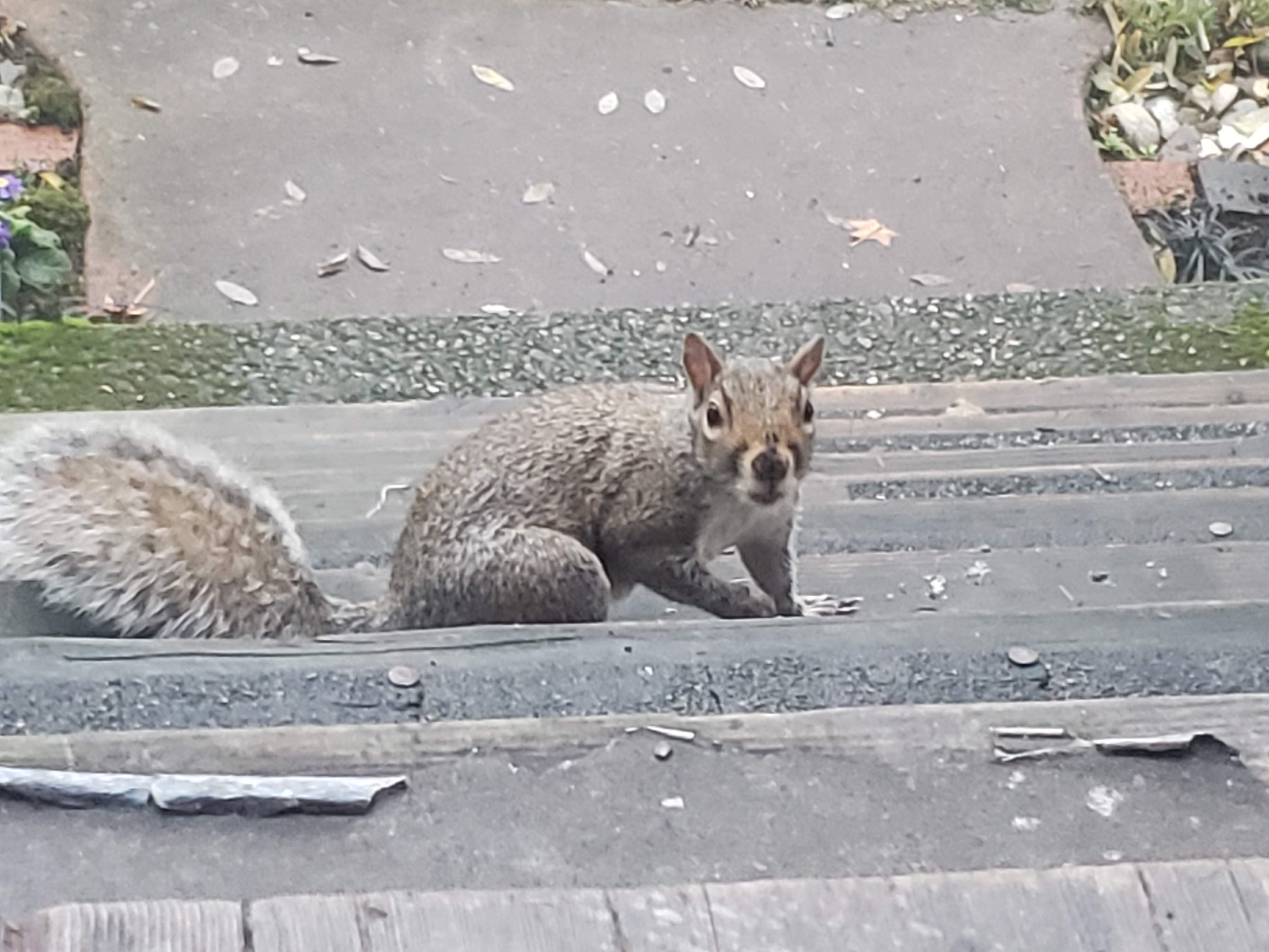 20191118_073314.jpg