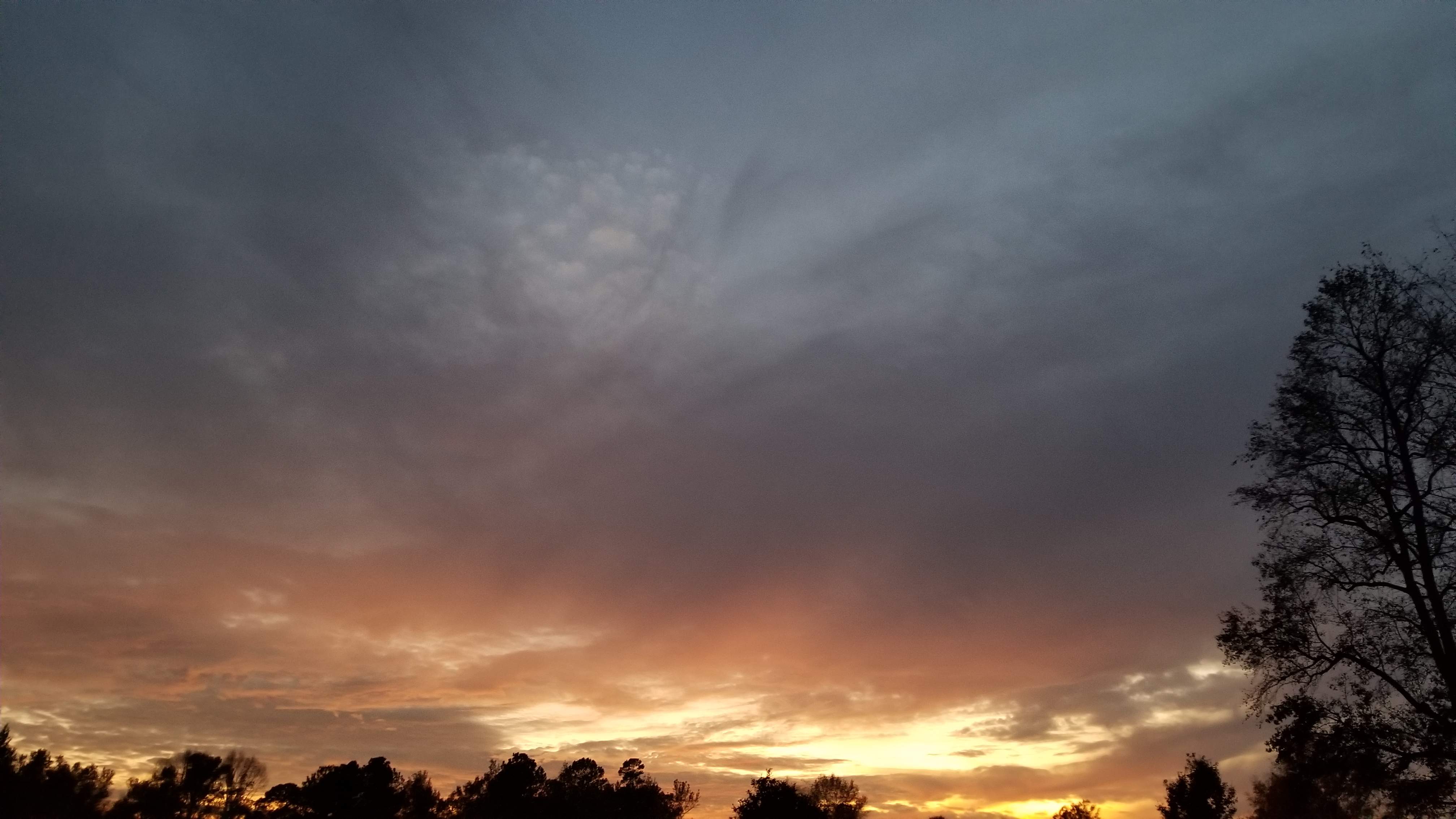 20191122_172344.jpg