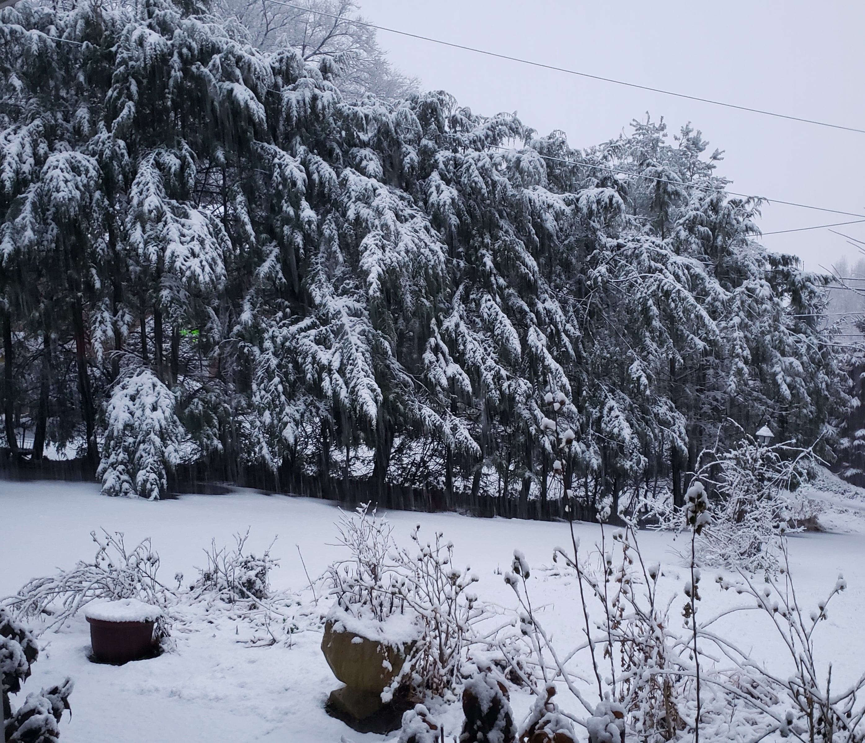 20191124_070829.jpg
