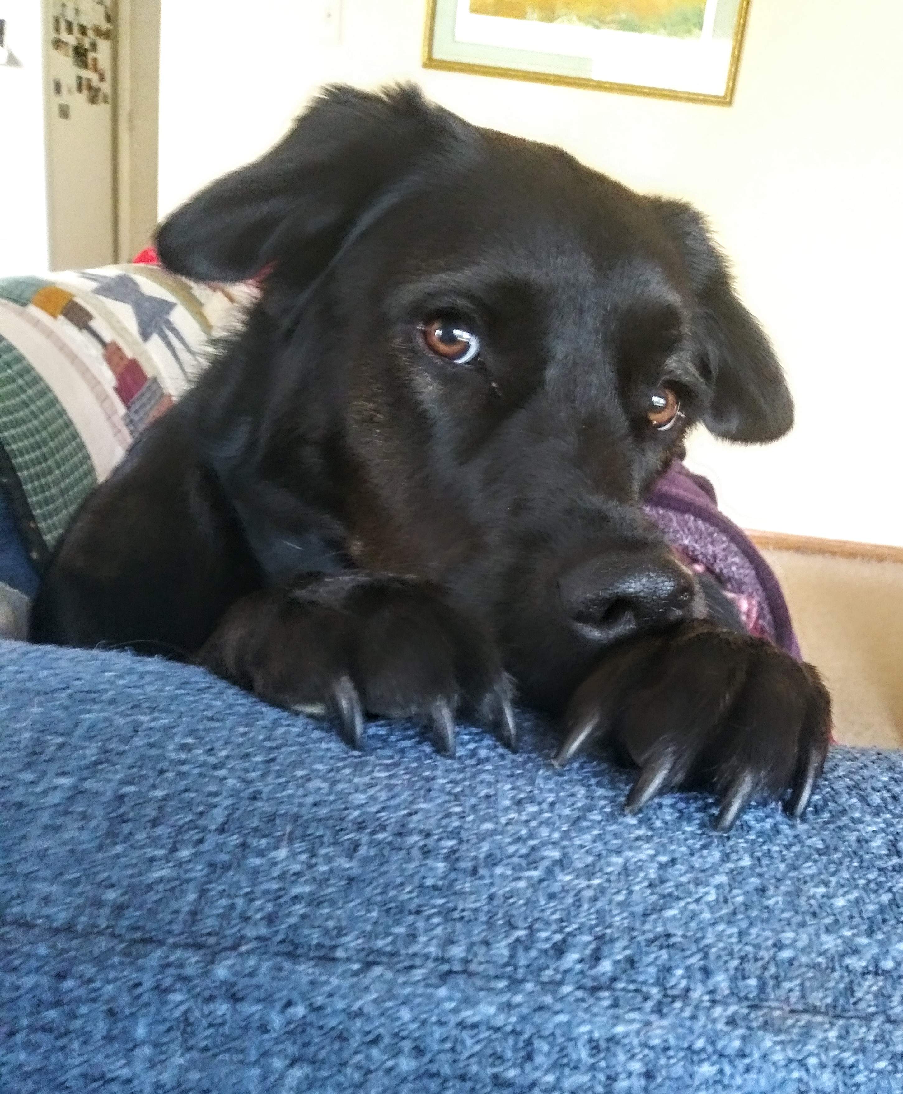 20191126_083651~2.jpg