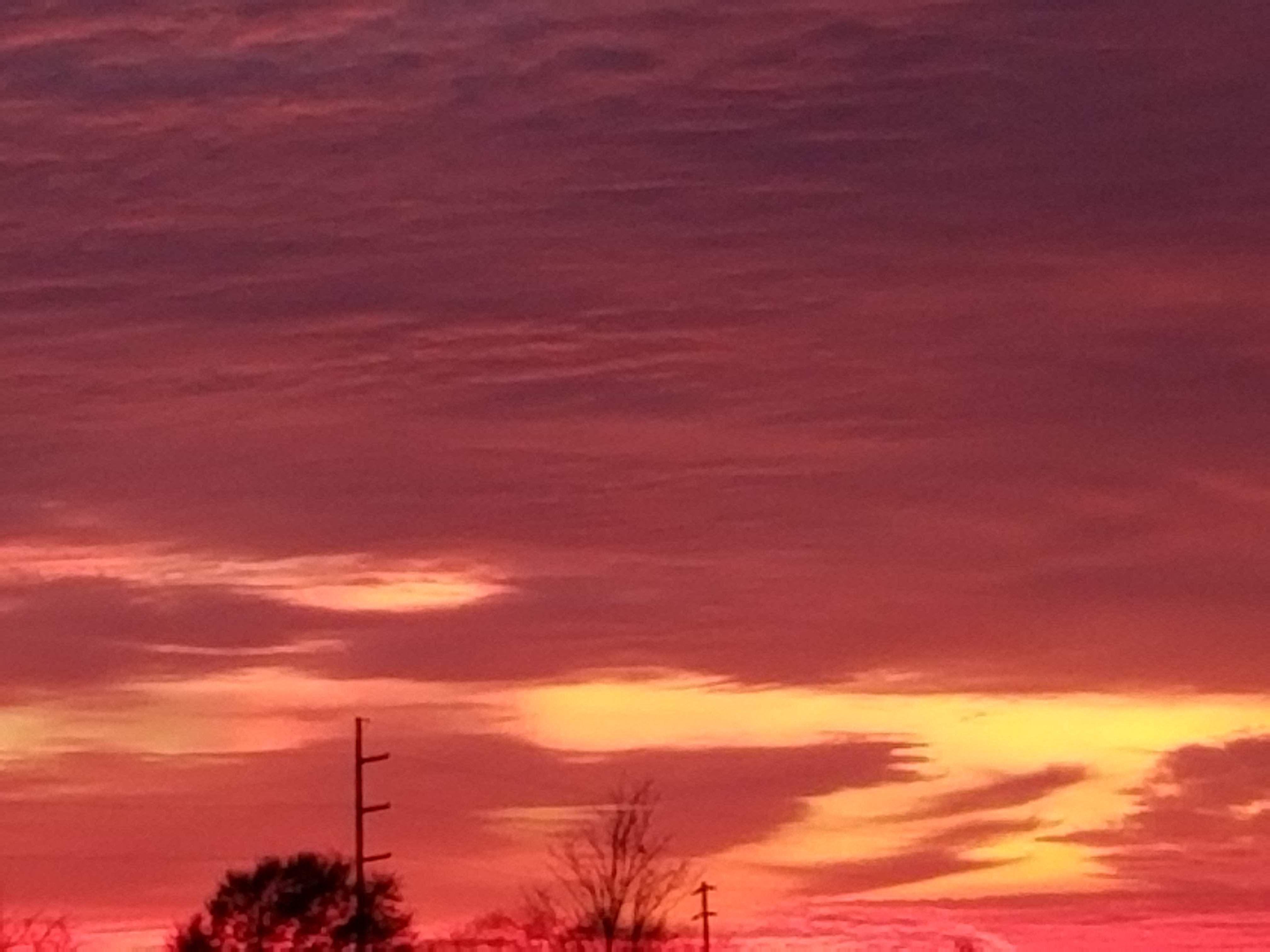 20191127_171919.jpg