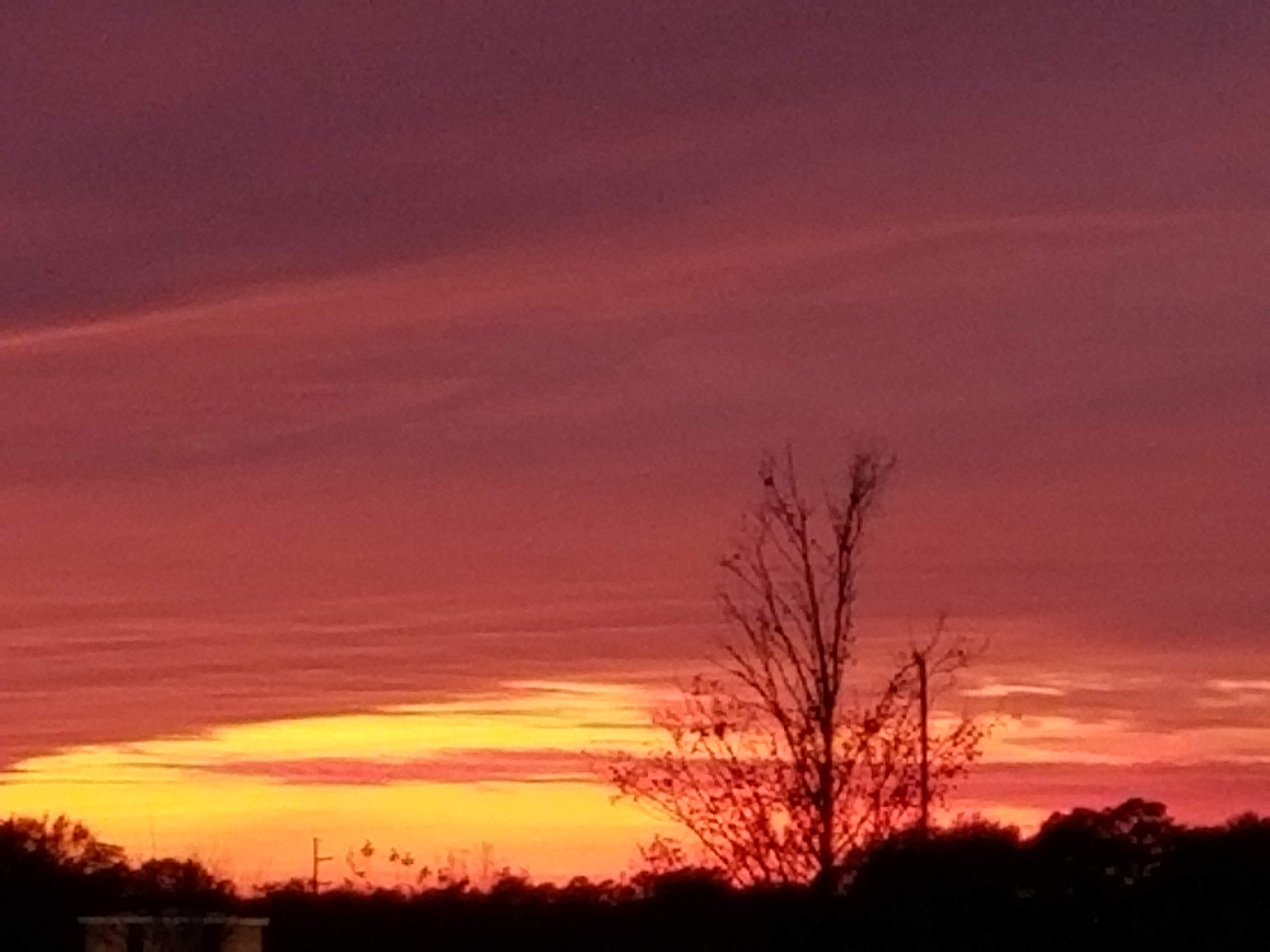20191127_171927.jpg