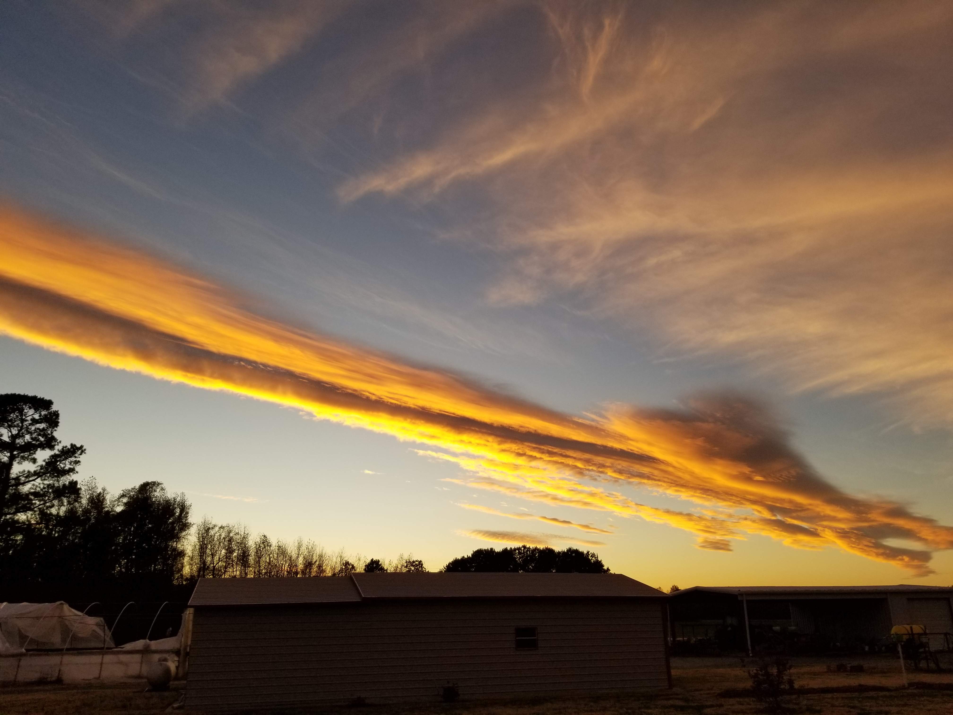20191128_170719.jpg