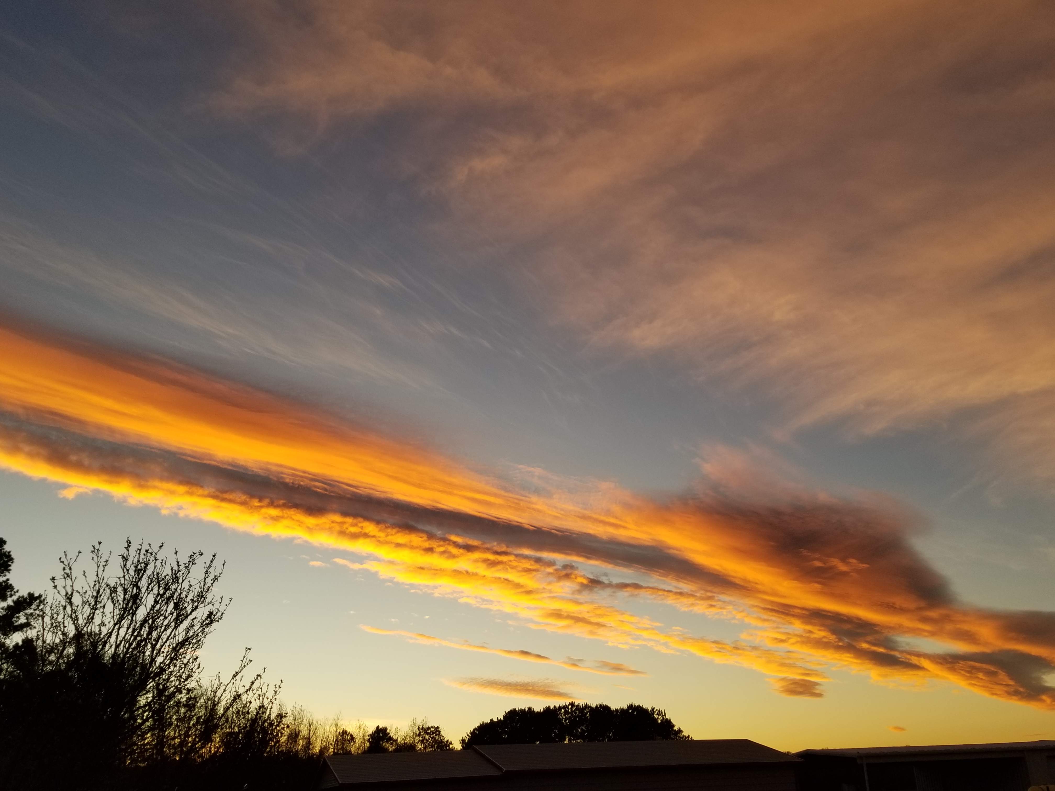 20191128_171005.jpg