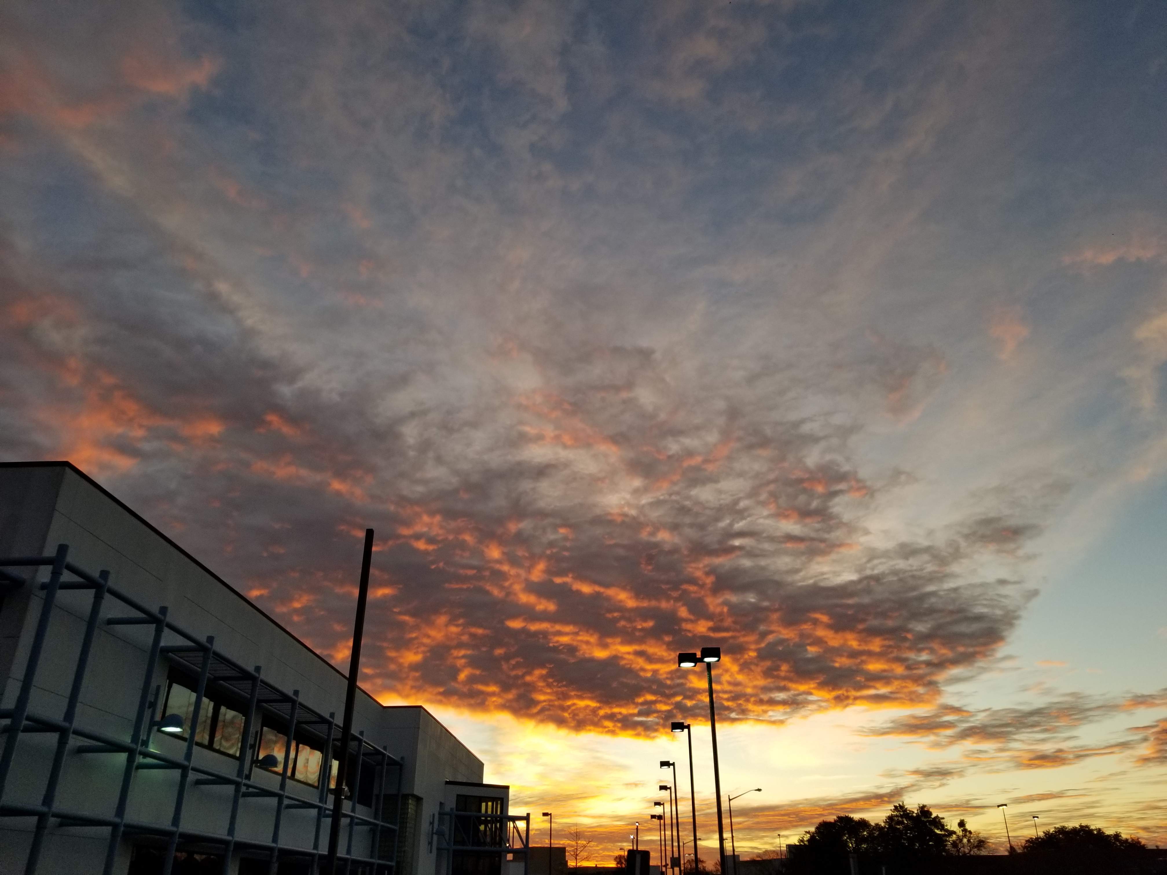 20191129_065448.jpg