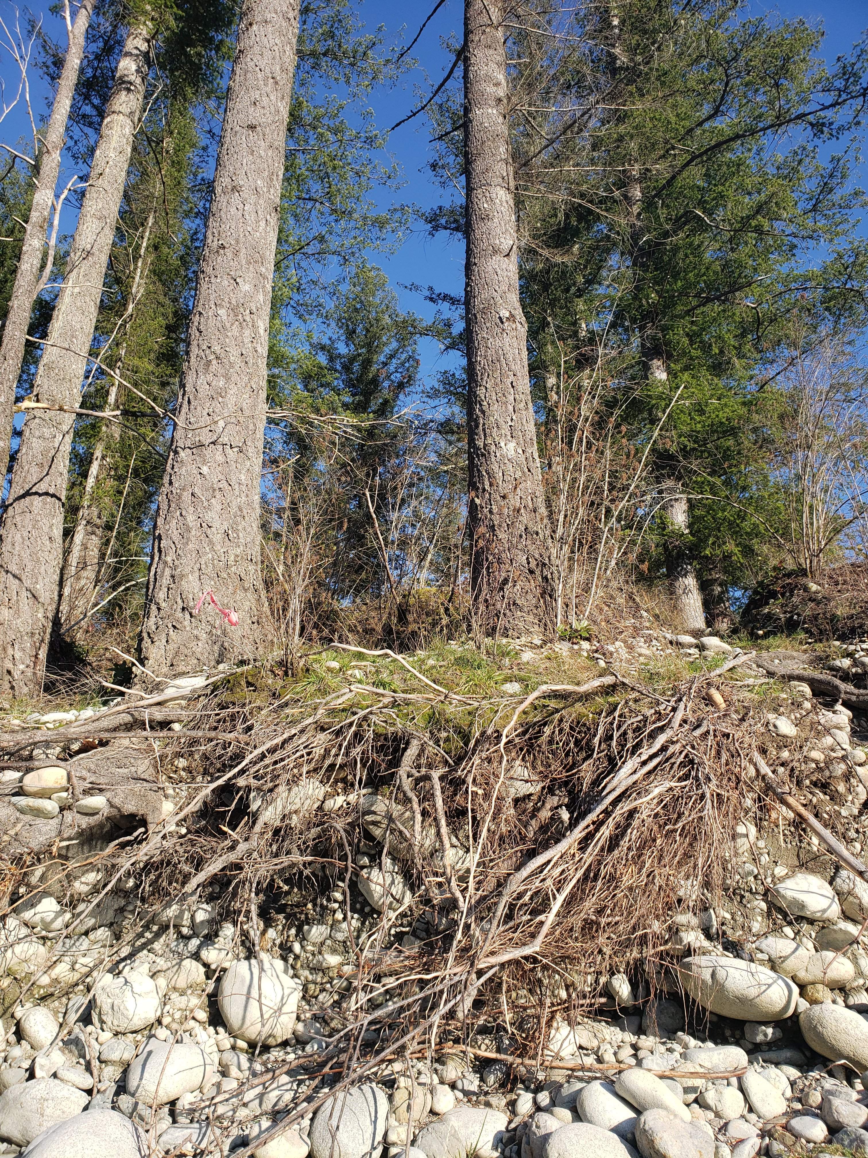 20191129_134624.jpg
