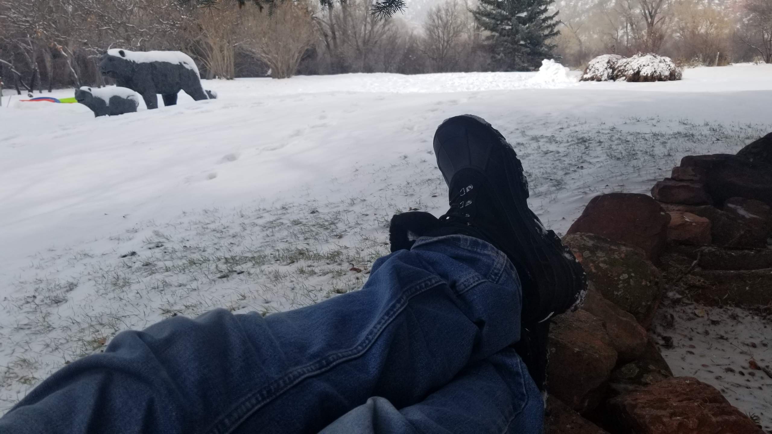 20191130_133014.jpg