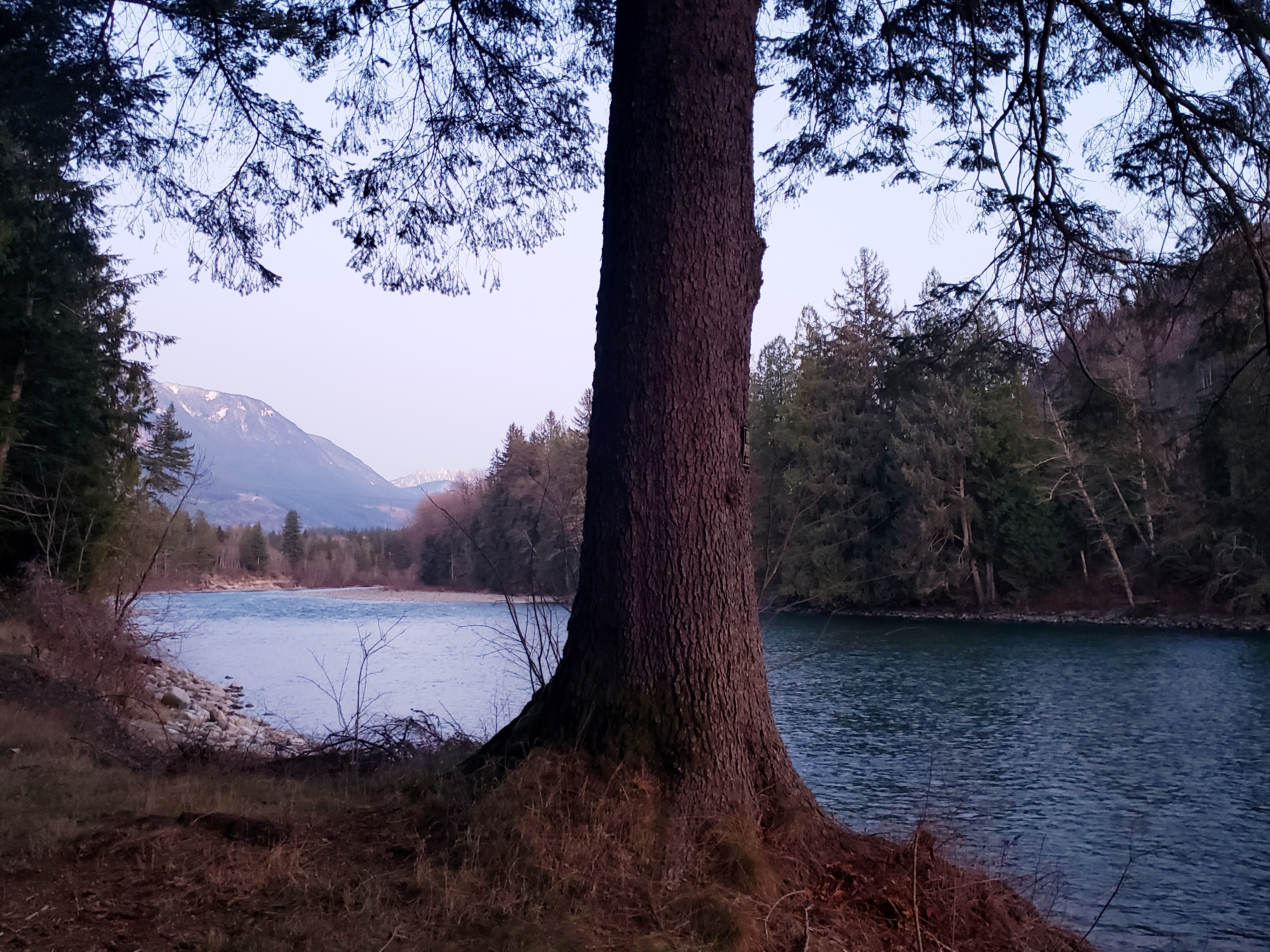 20191130_155951.jpg
