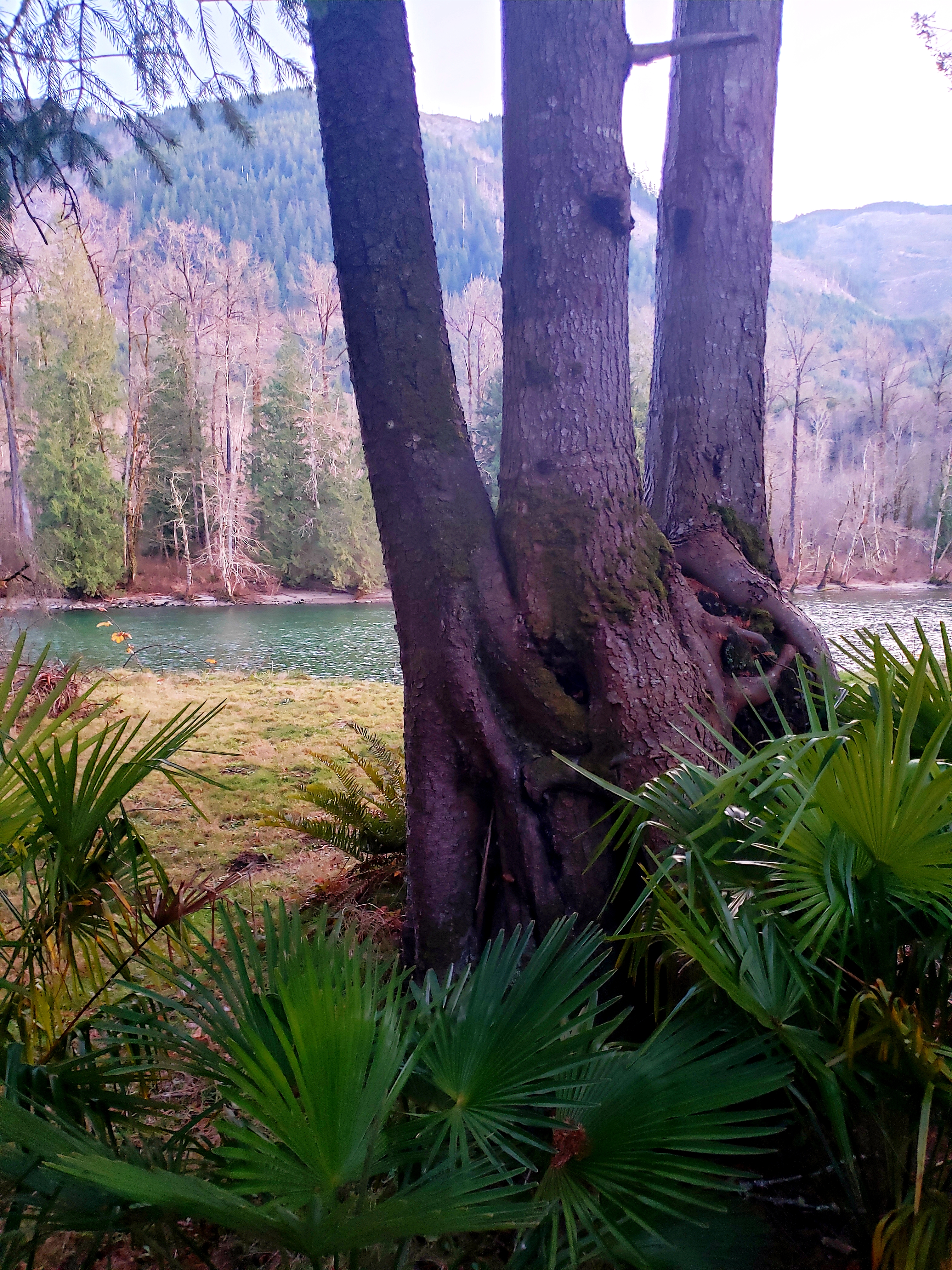 20191130_165314.jpg