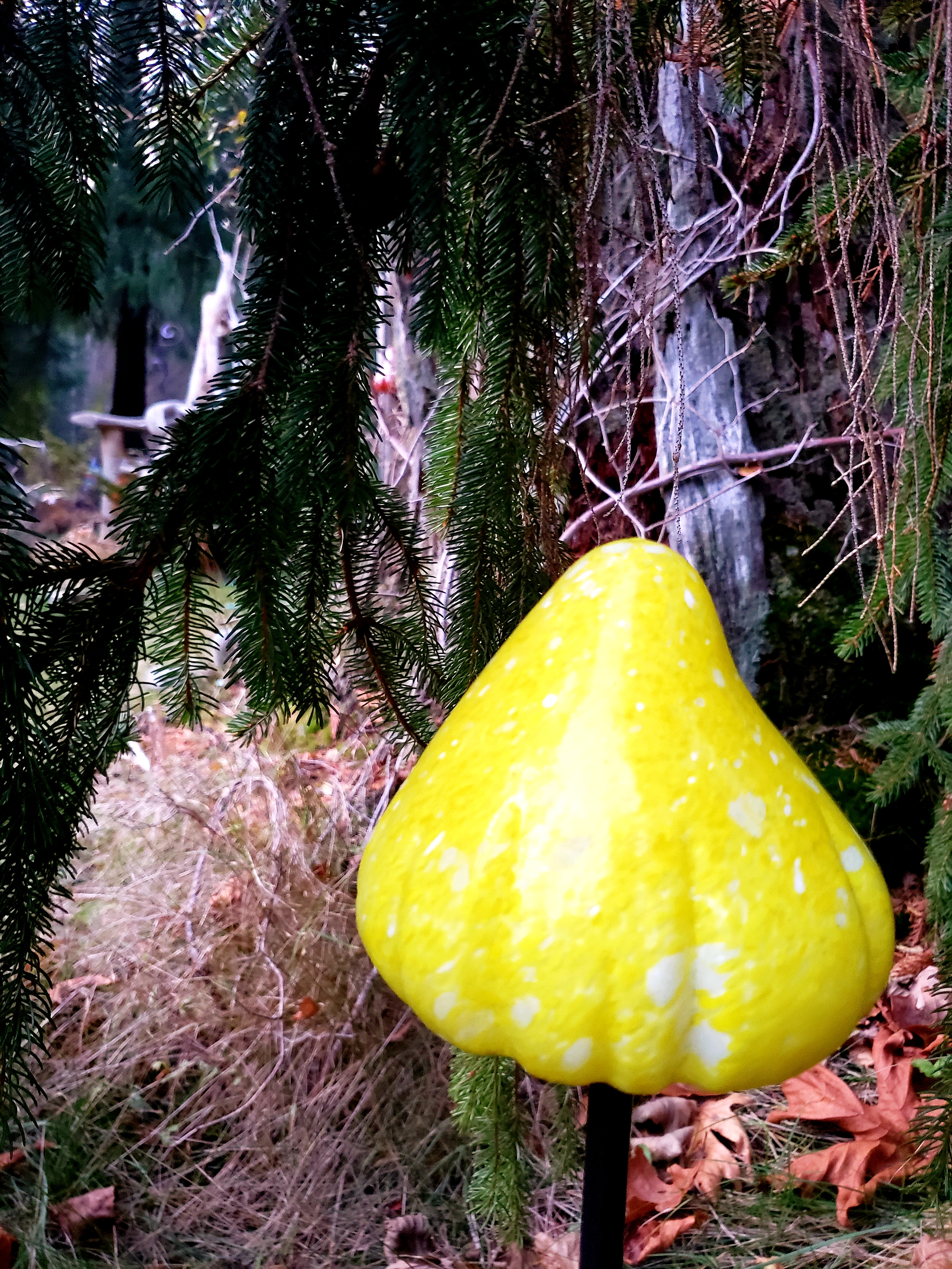 20191130_165813.jpg