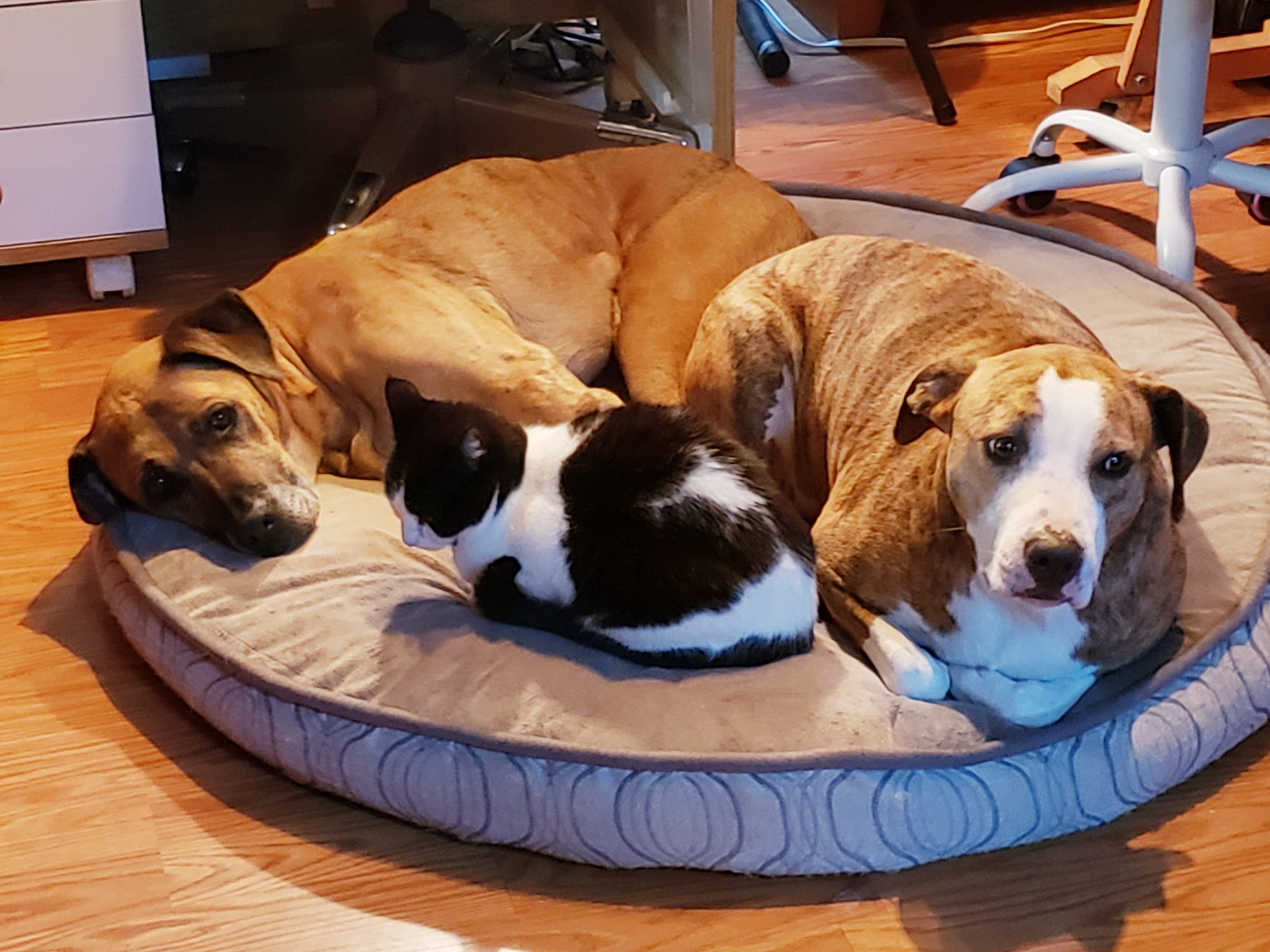 20191130_170223.jpg