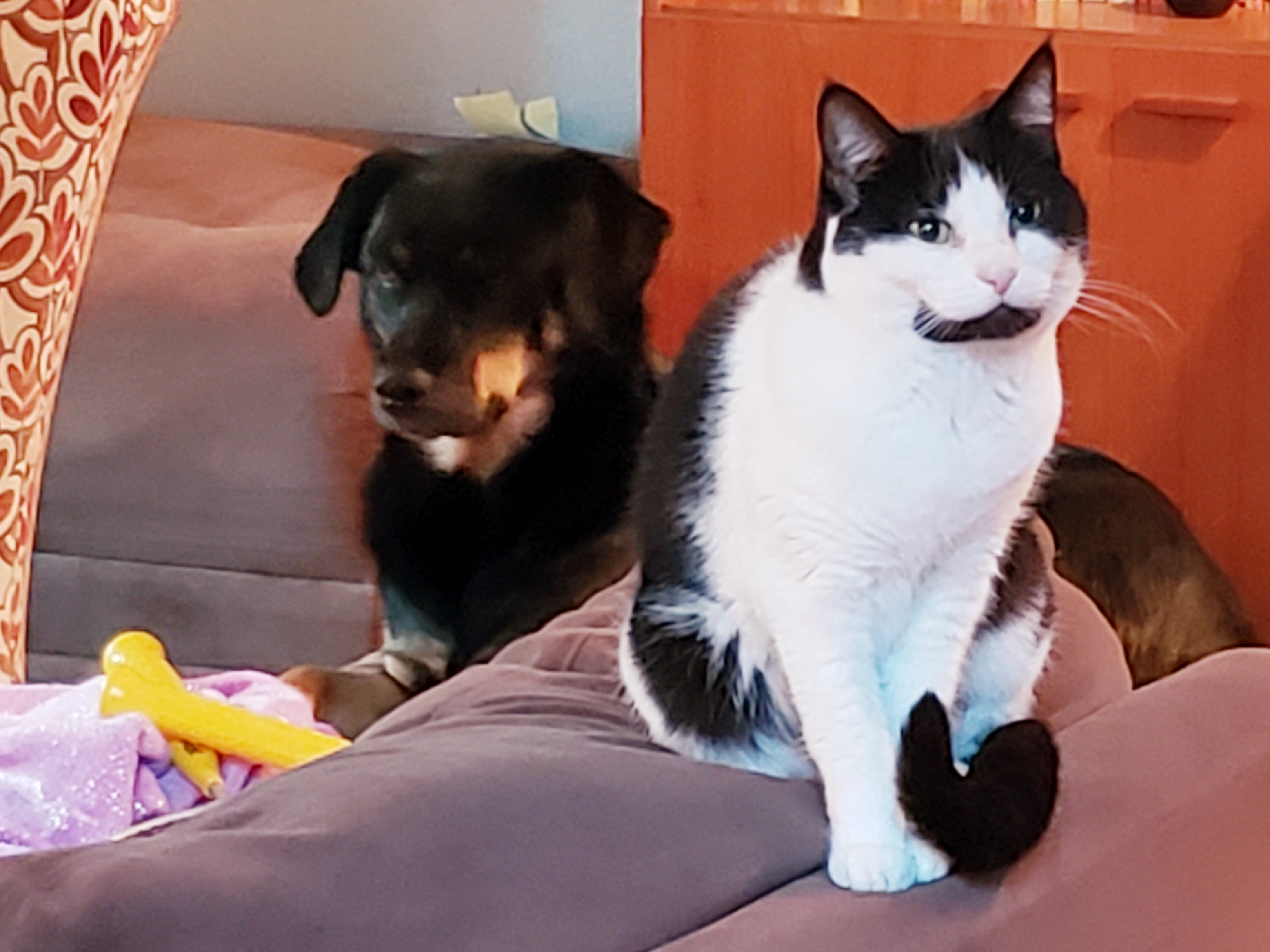 20191130_170530.jpg