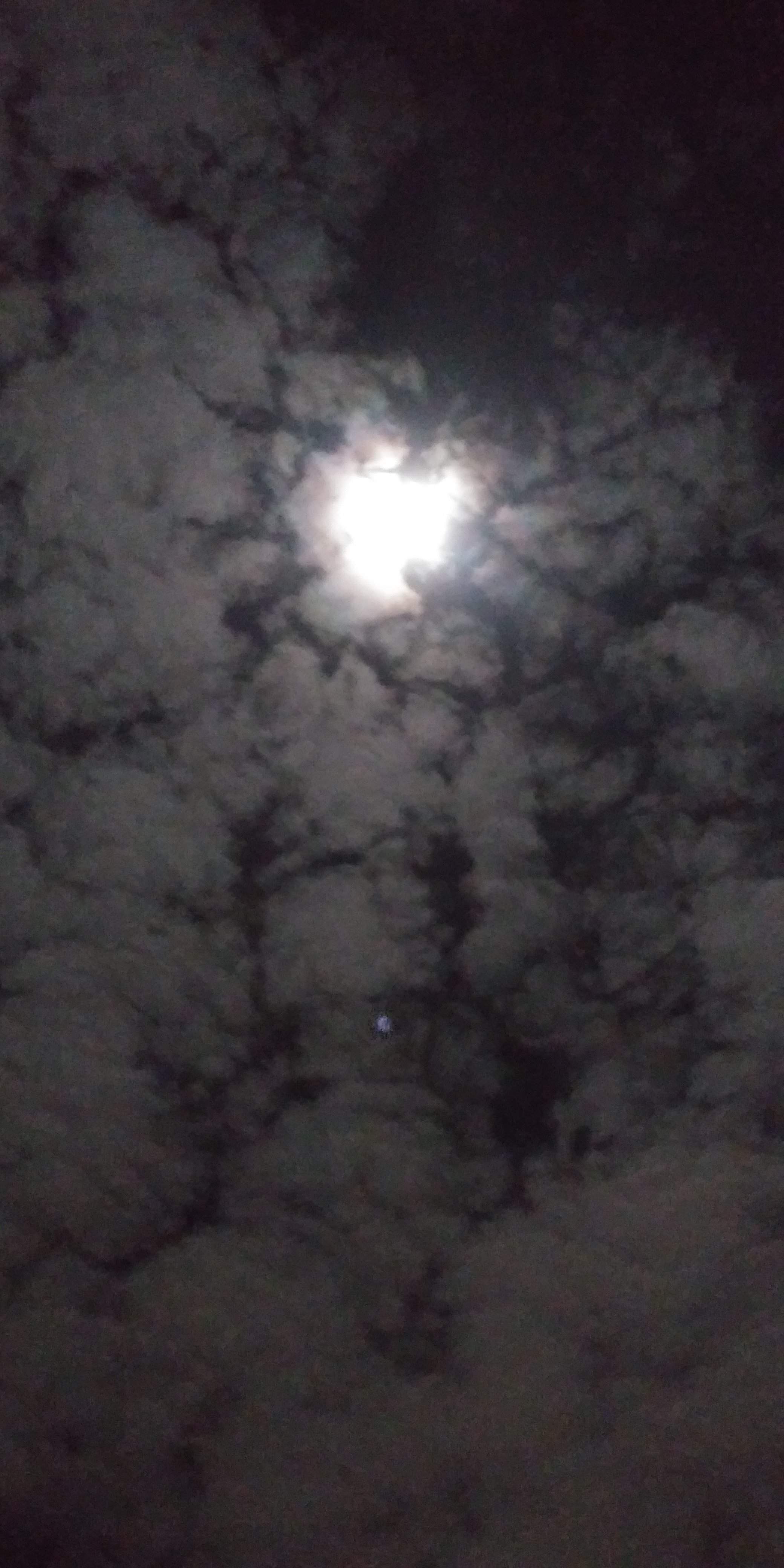 20191211_235050.jpg