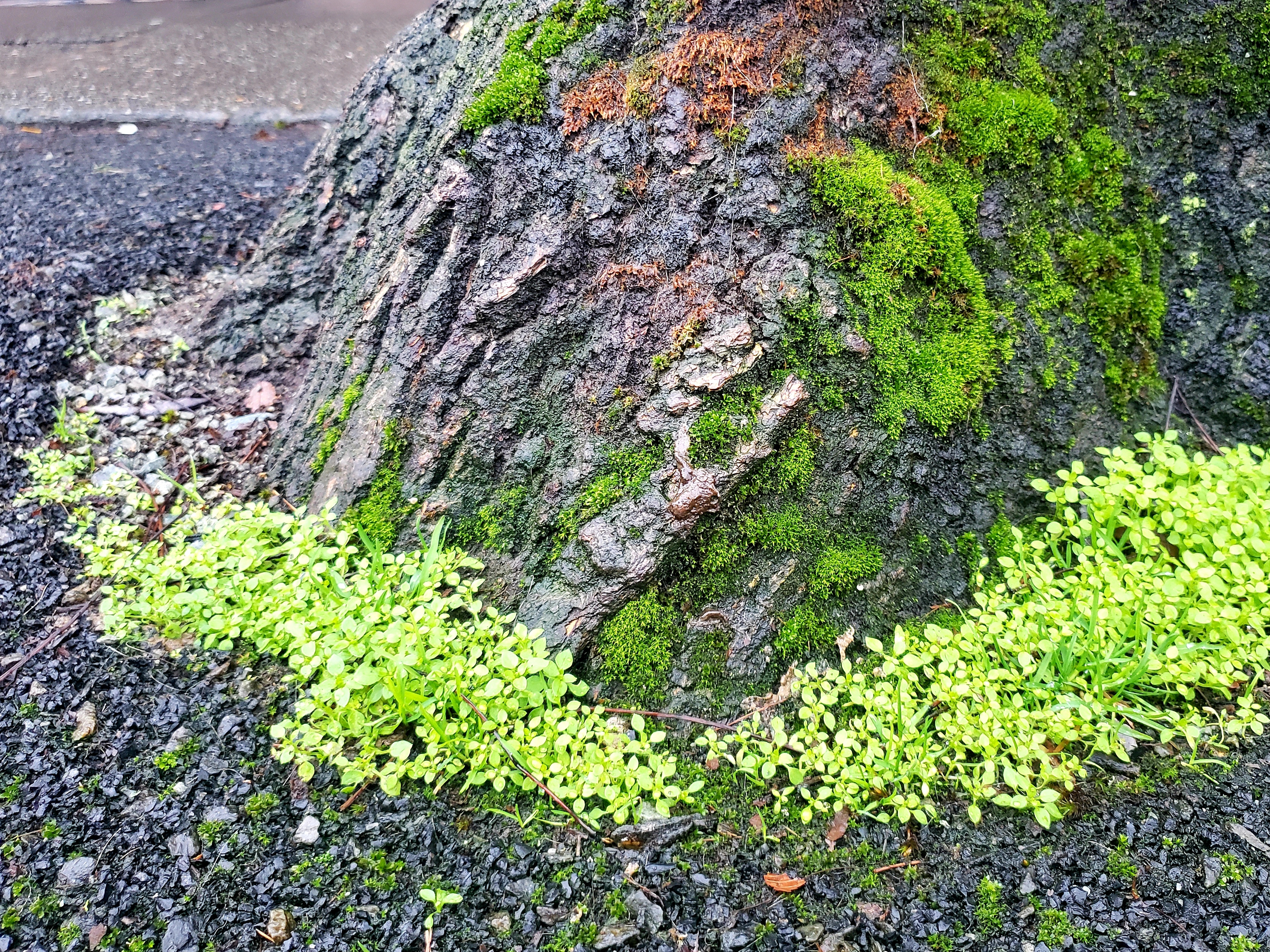 20191212_012719.jpg