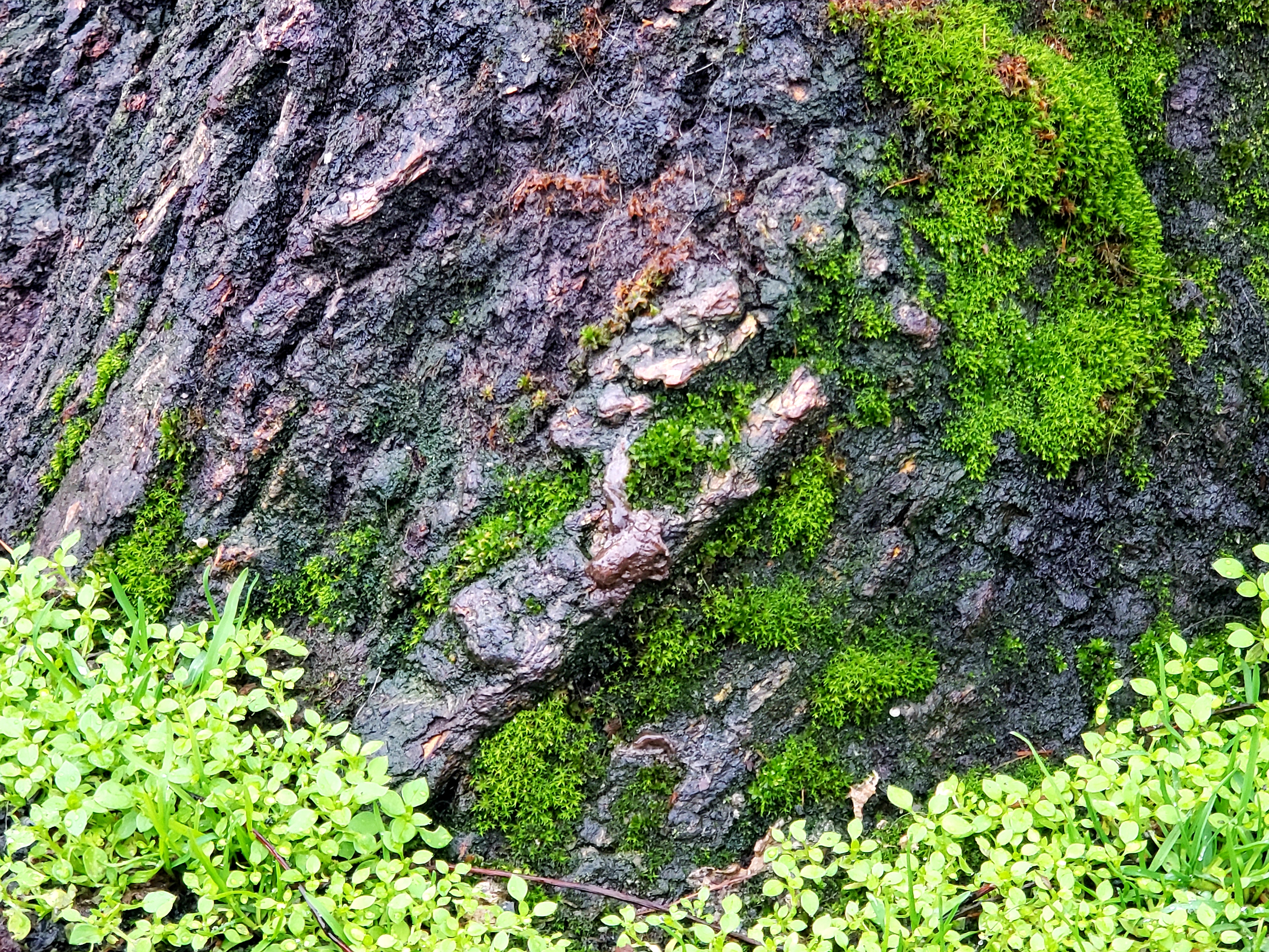 20191212_012757.jpg