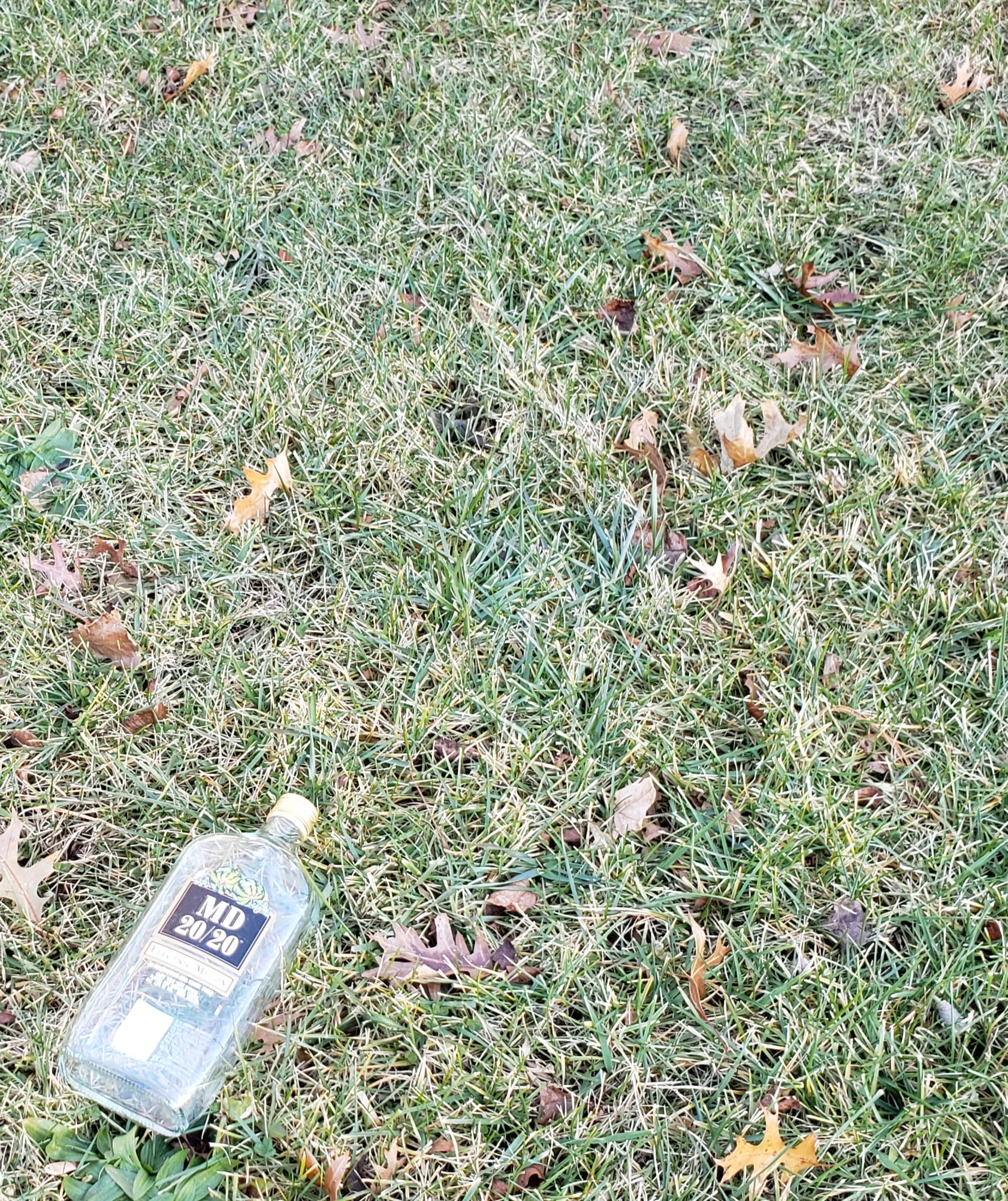20191215_125813.jpg