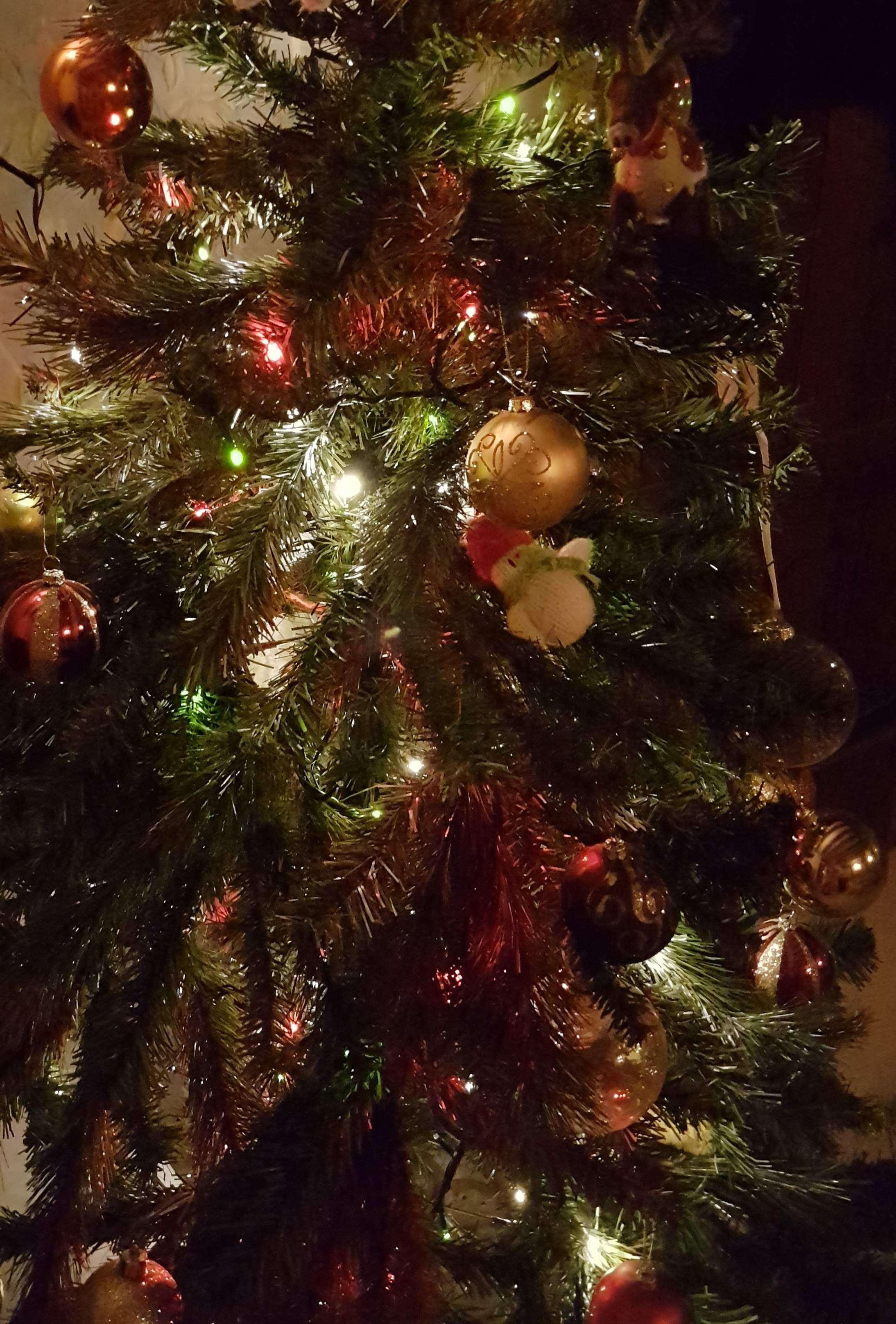 20191219_064628.jpg