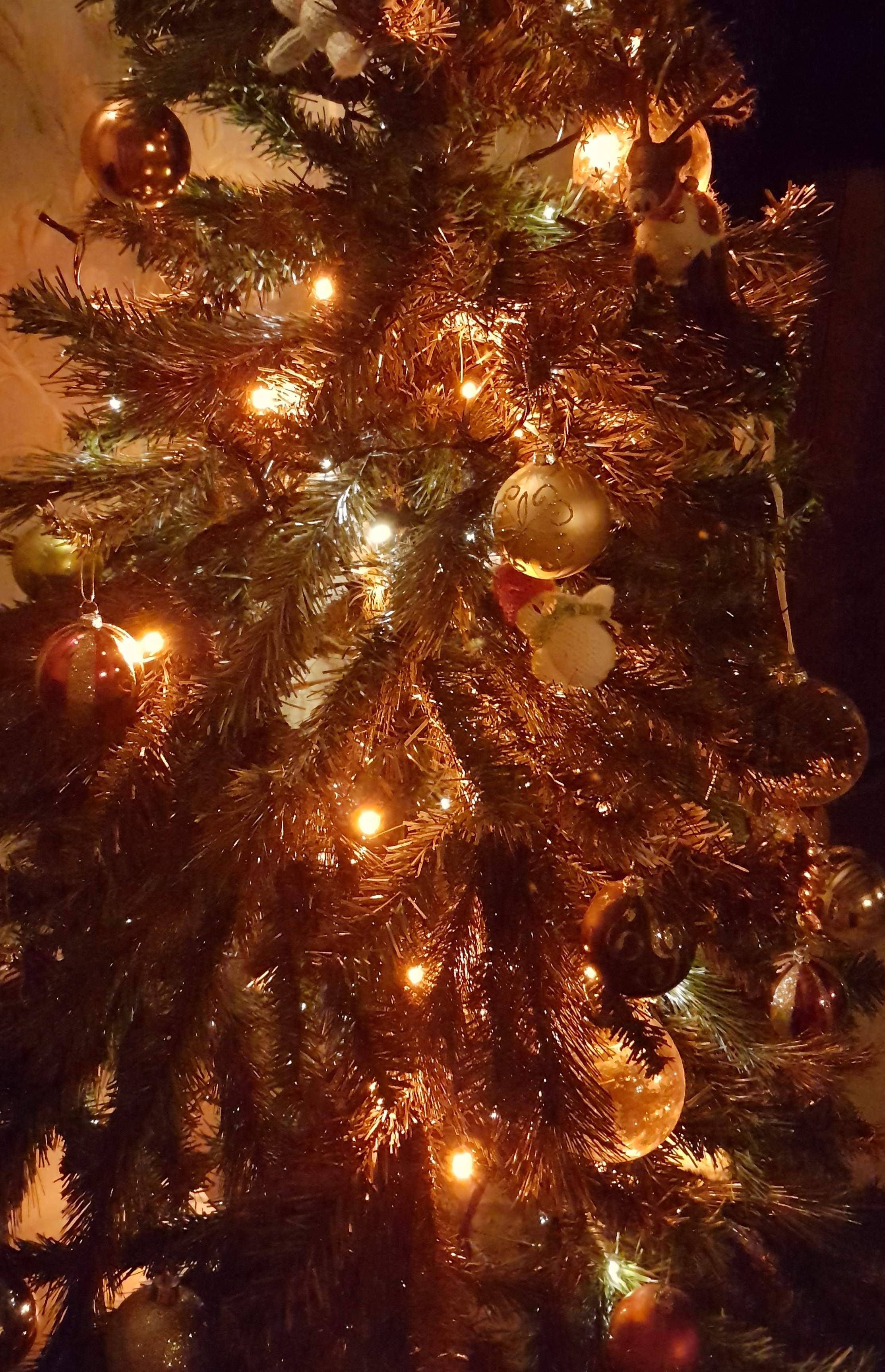 20191219_064656.jpg