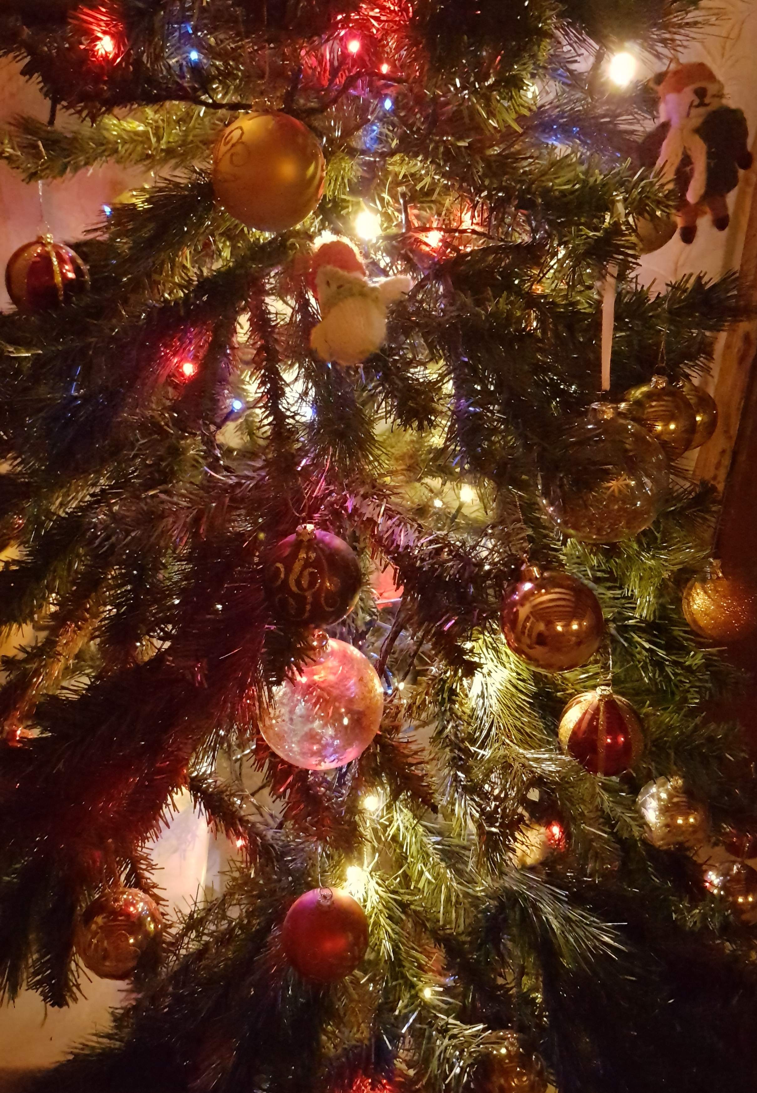 20191219_064727.jpg