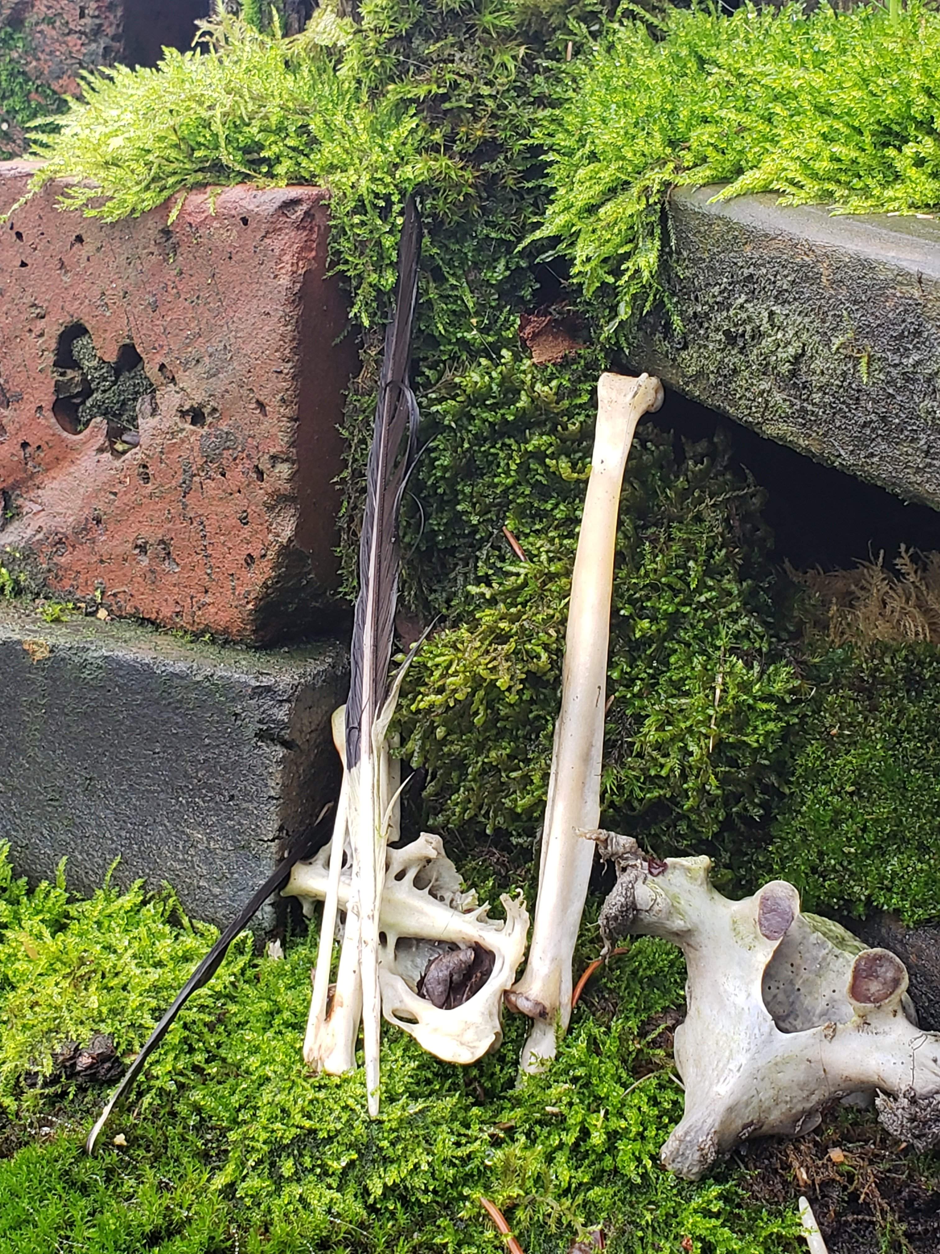 20191219_090607.jpg