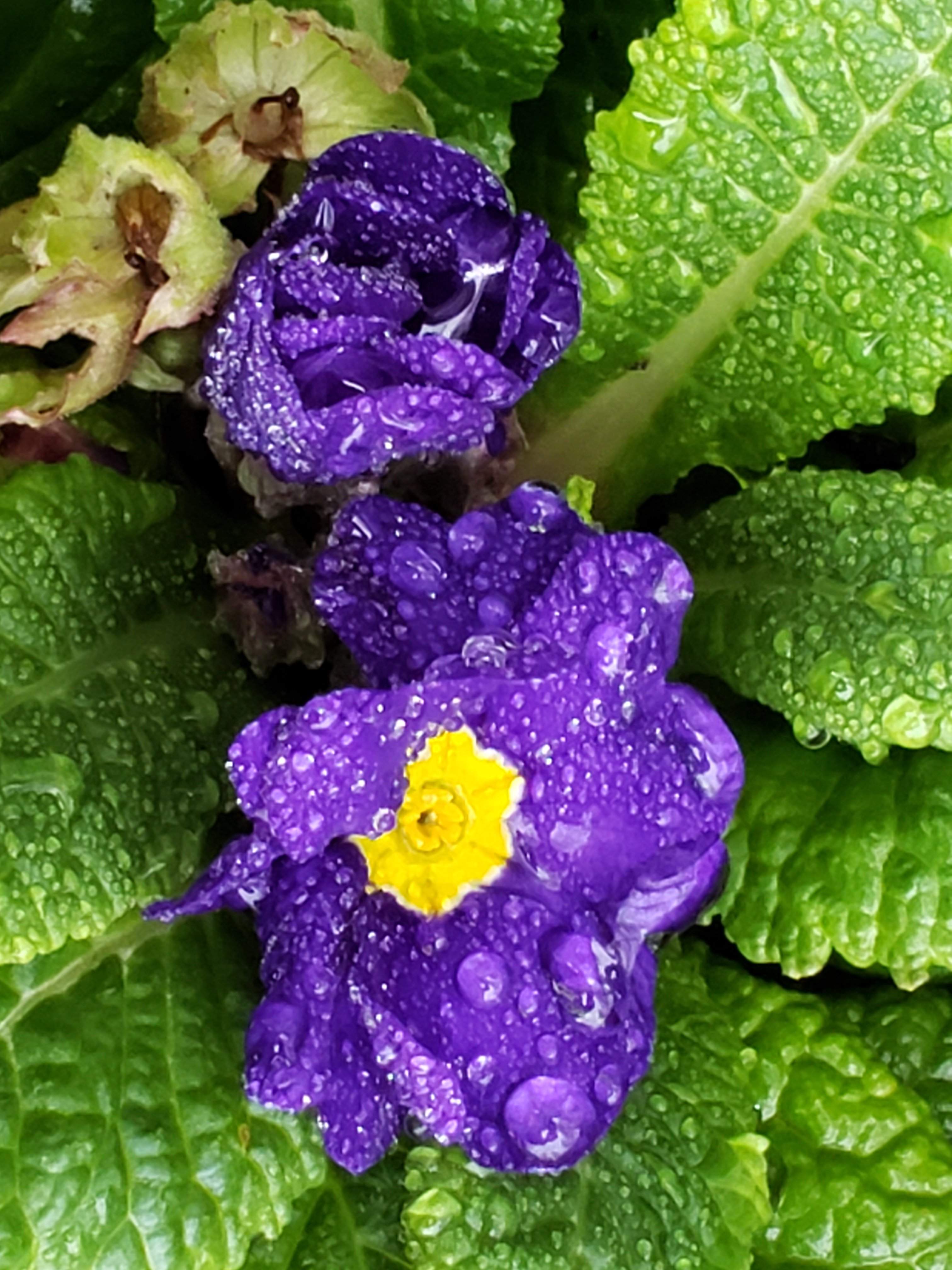 20191219_091046.jpg