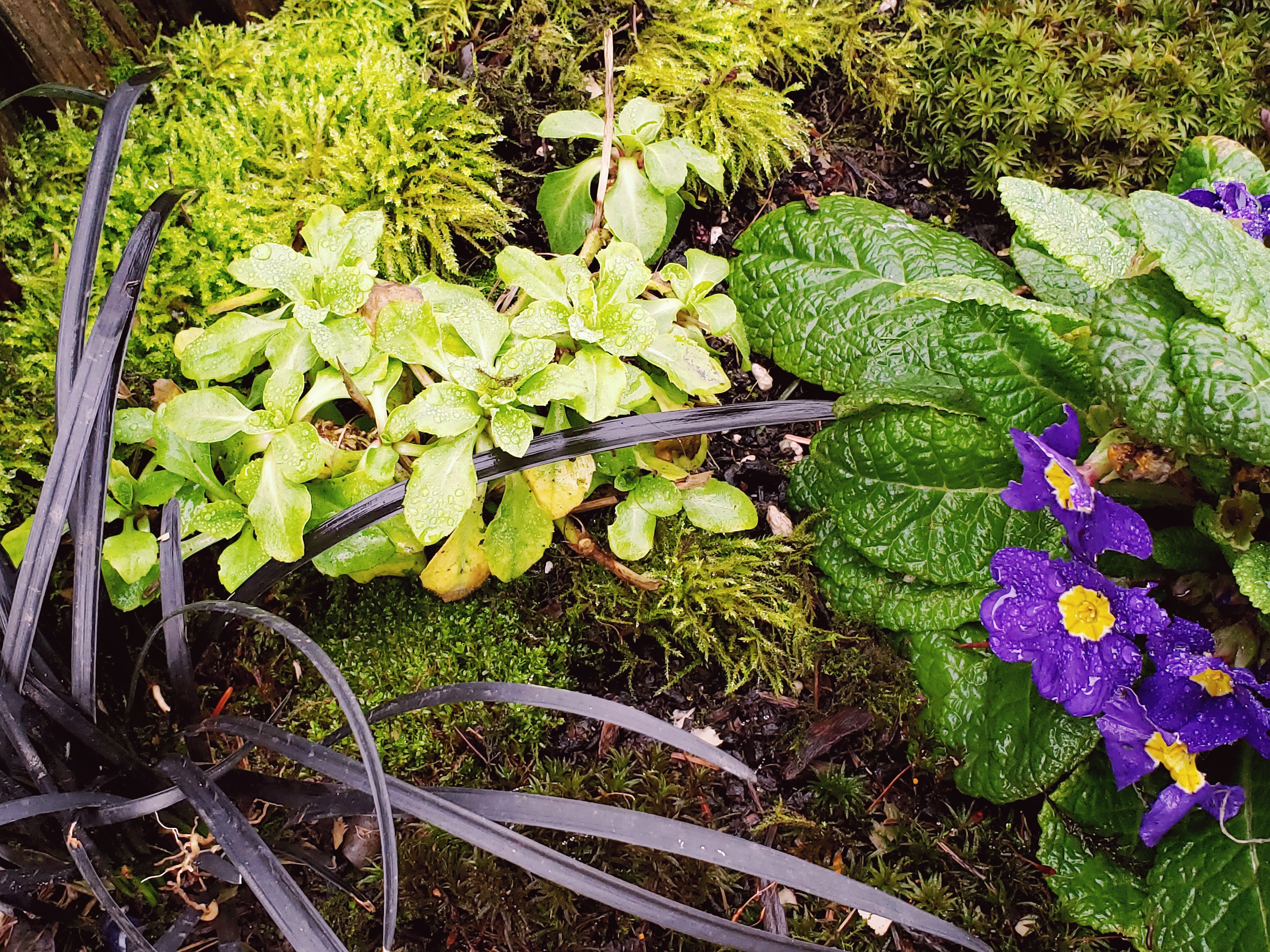 20191219_091259.jpg