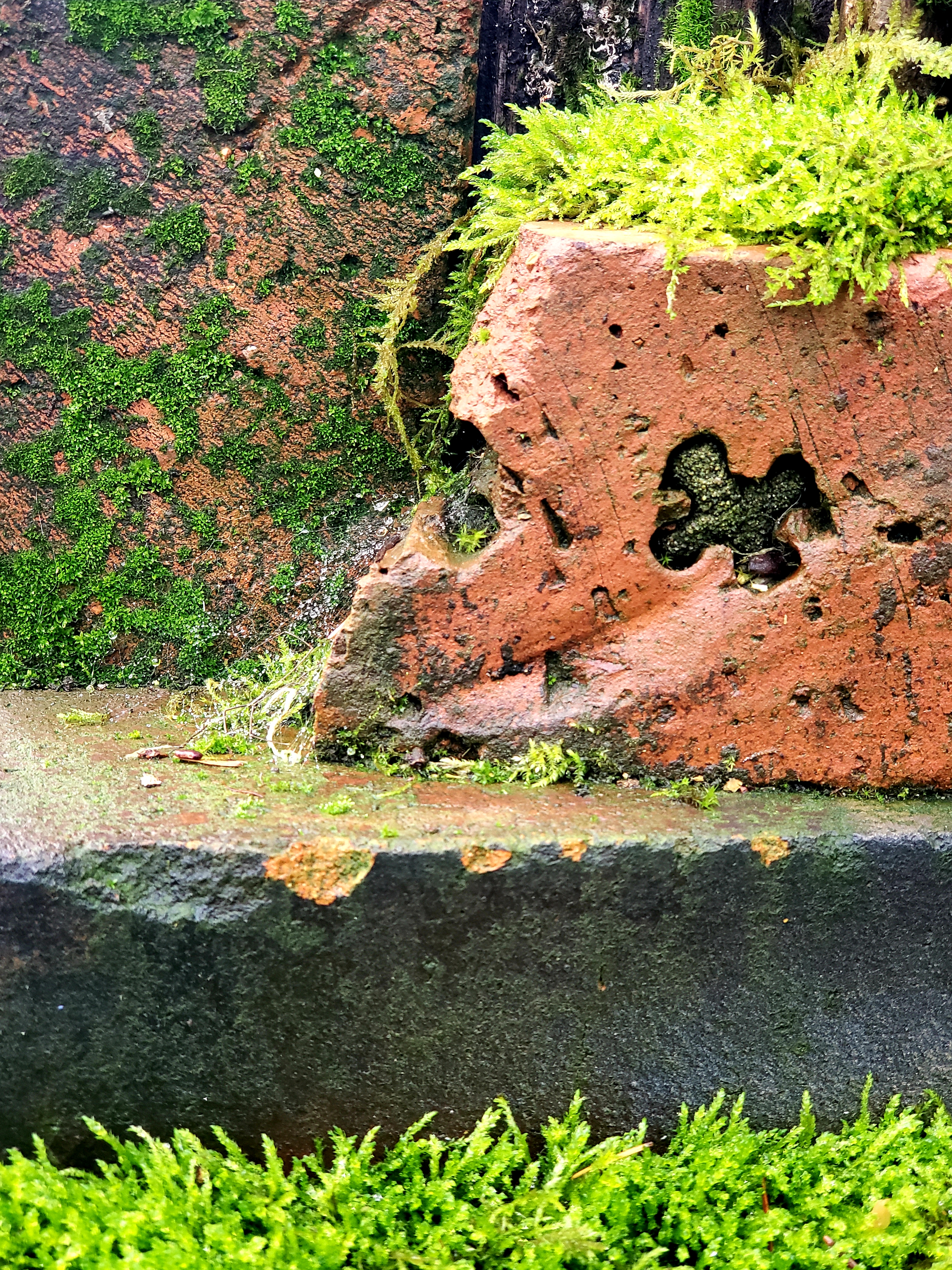 20191219_091340.jpg
