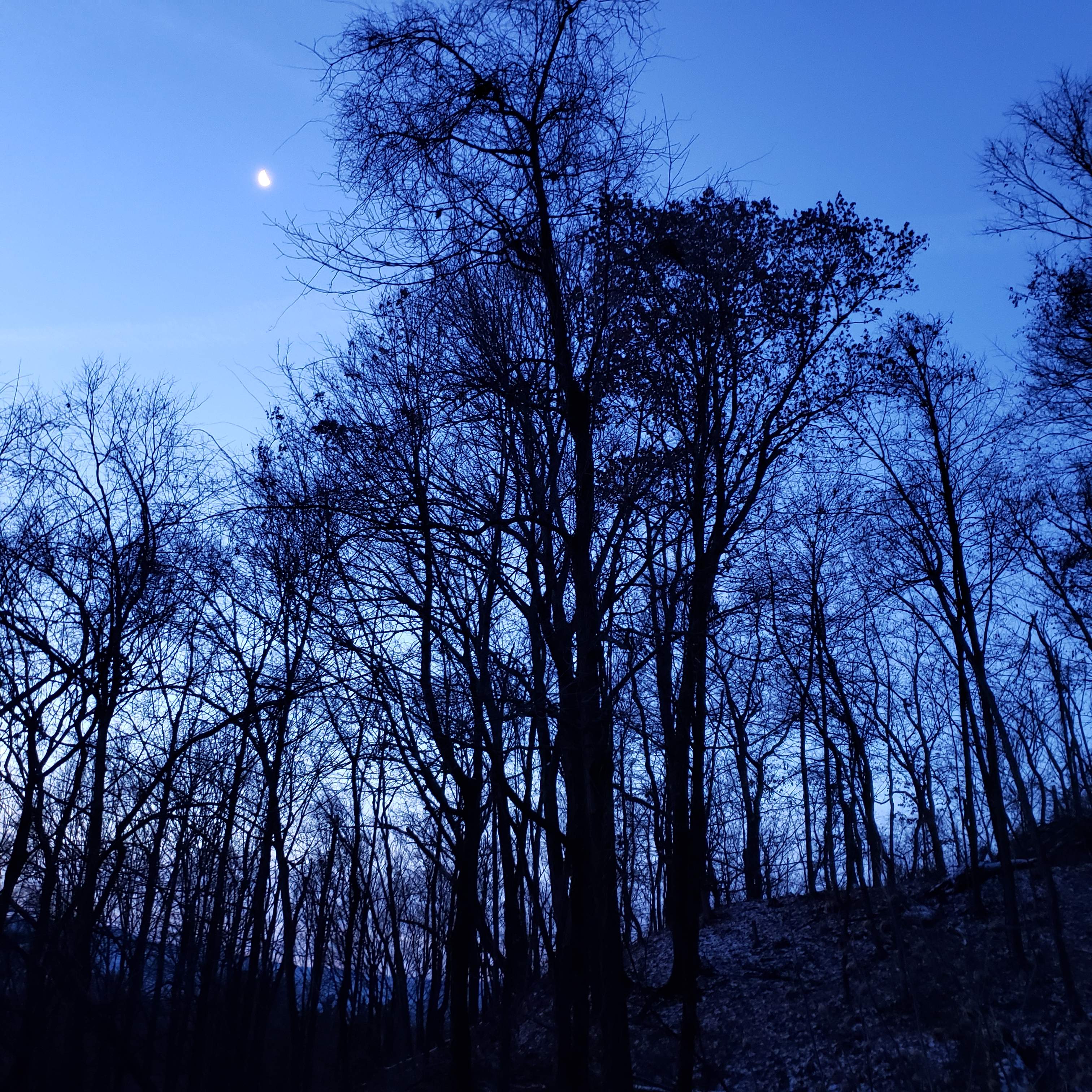 20191221_070642.jpg
