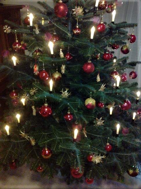 2020 tree (2).jpg