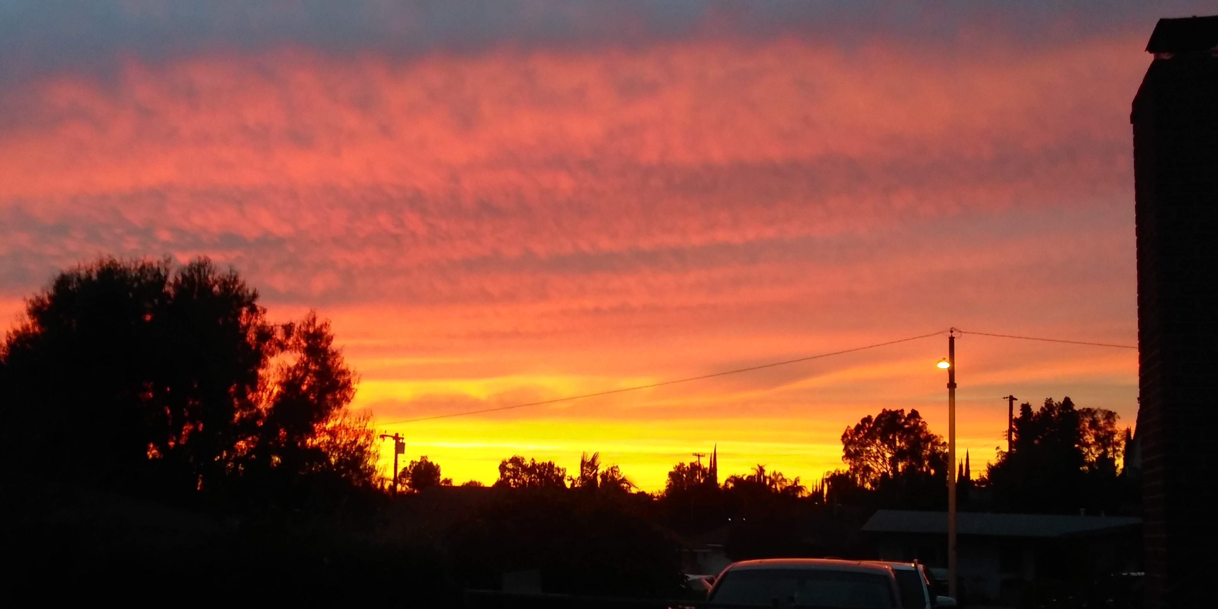 20200331_192424_HDR.jpg